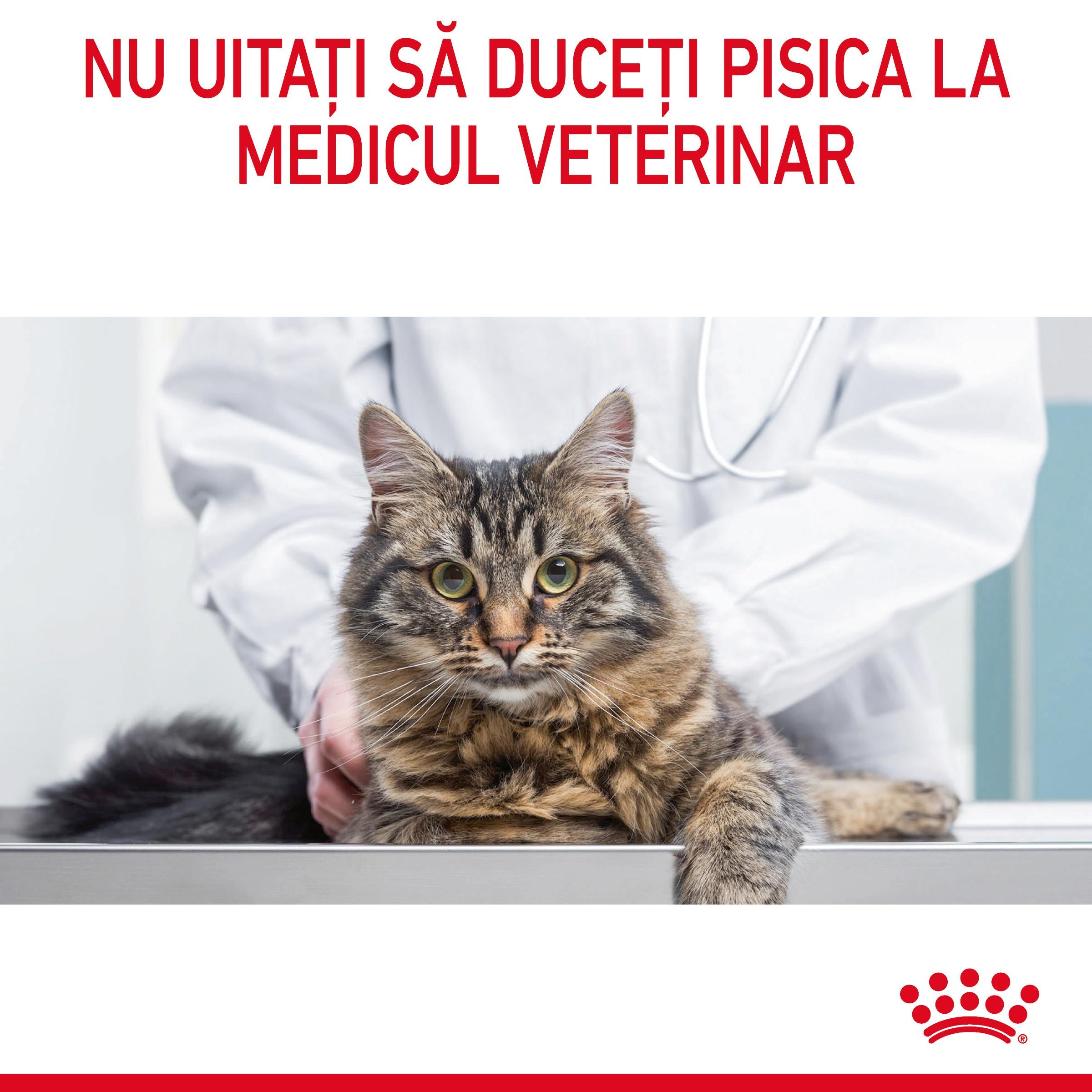 Royal Canin Appetite Control Care Adult hrana uscata pisica sterilizata, reglarea apetitului