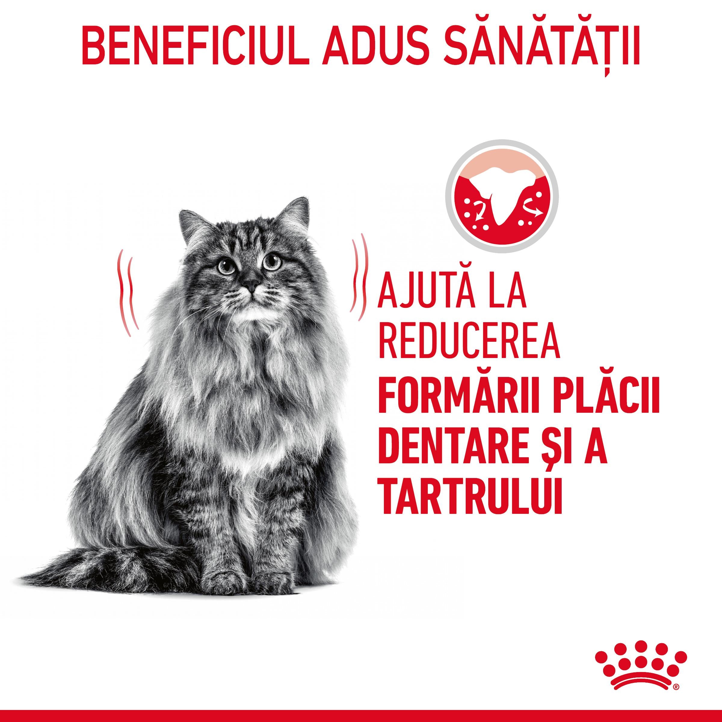 Royal Canin Oral Care Adult hrana uscata pisica, reducerea formarii tartrului 400g