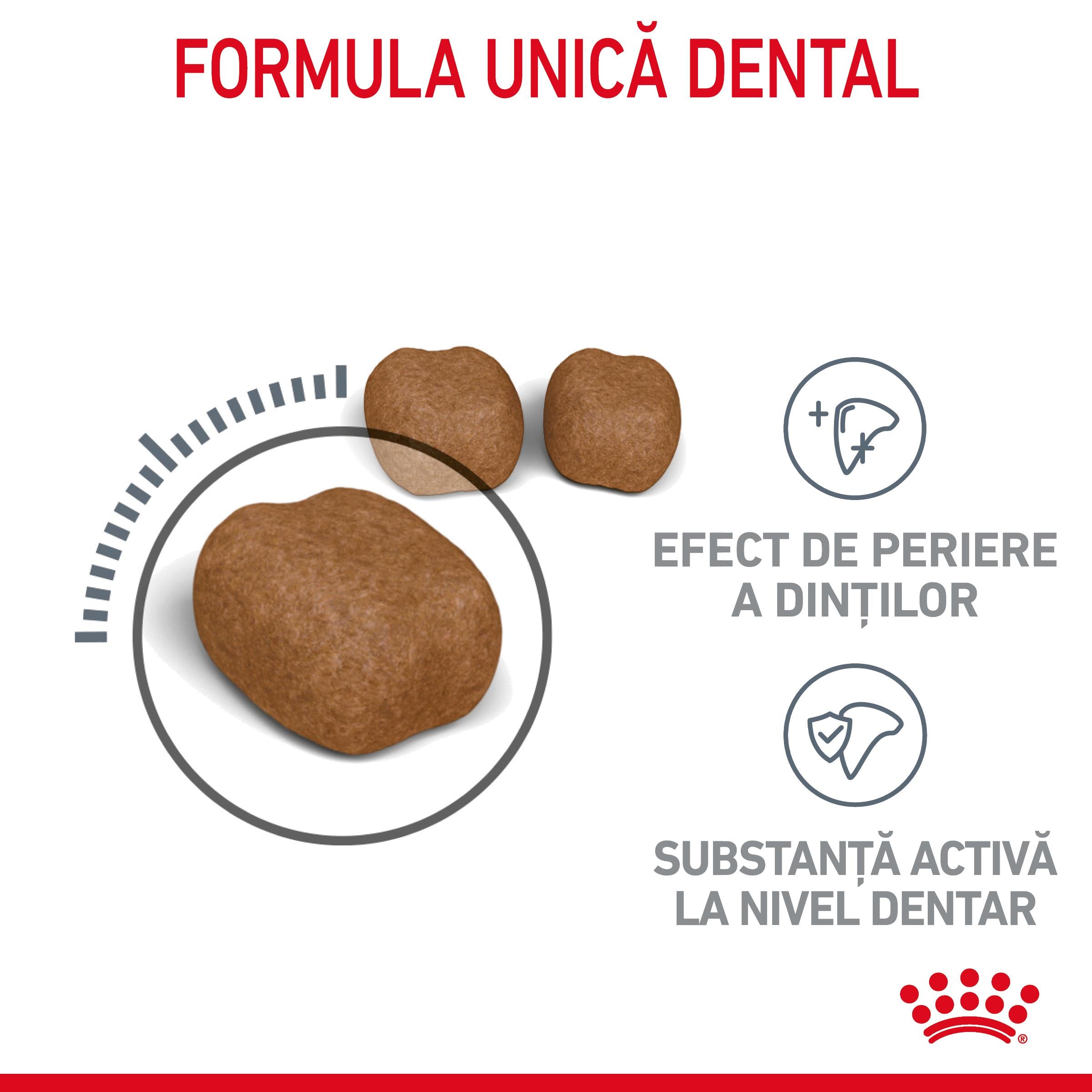 Royal Canin Oral Care Adult hrana uscata pisica, reducerea formarii tartrului 400g