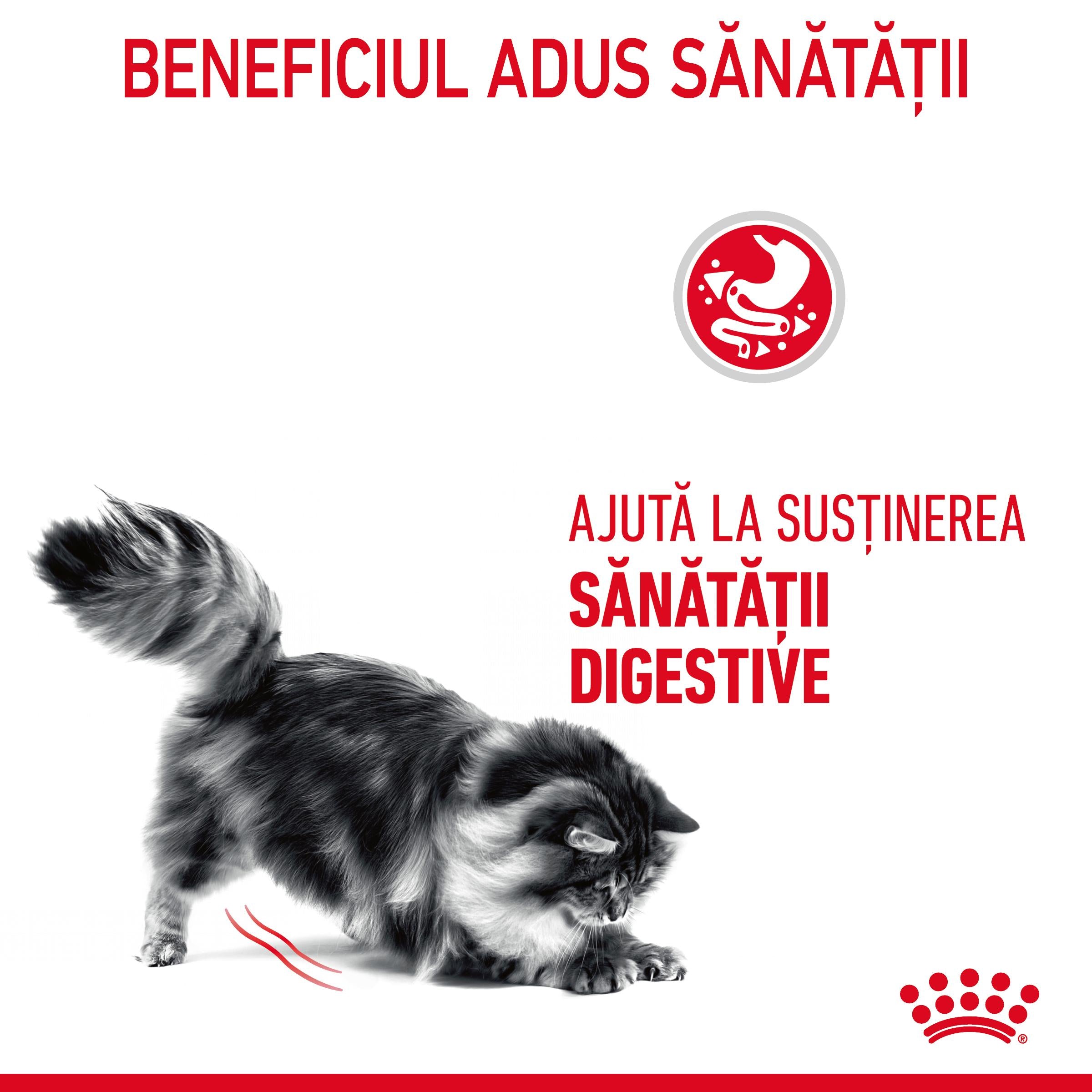 Royal Canin Digestive Care Adult hrana uscata pisica, confort digestiv