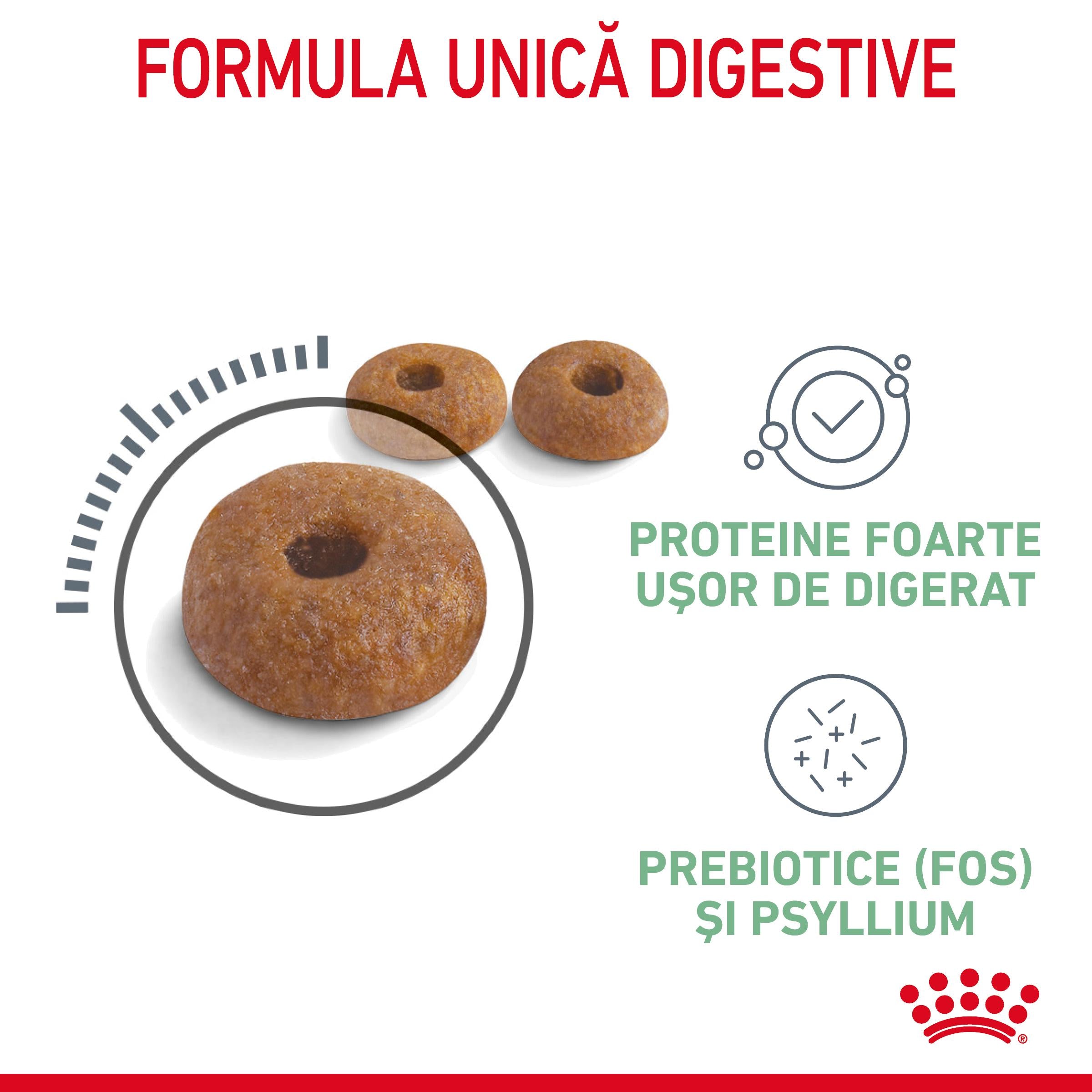 Royal Canin Digestive Care Adult hrana uscata pisica, confort digestiv