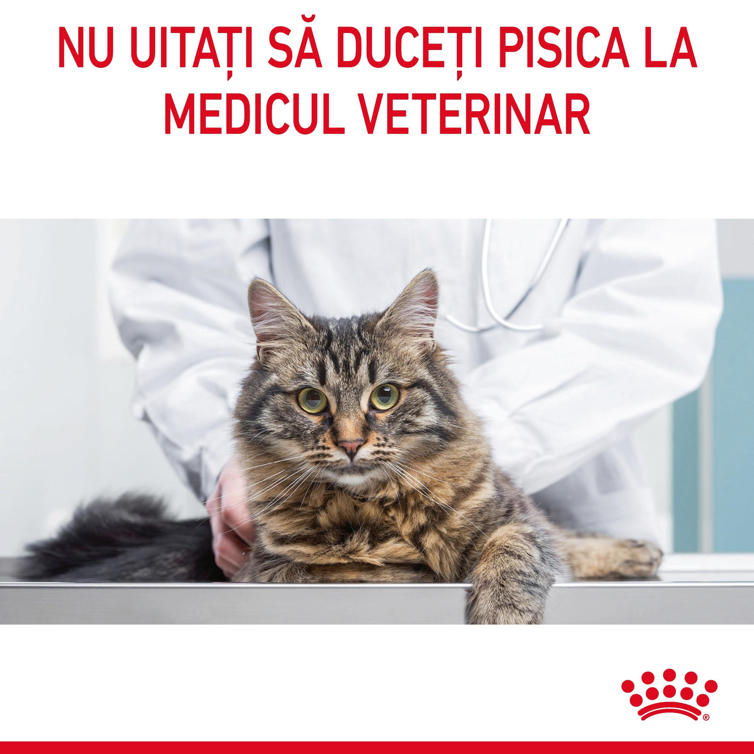 Royal Canin Digestive Care Adult hrana uscata pisica, confort digestiv