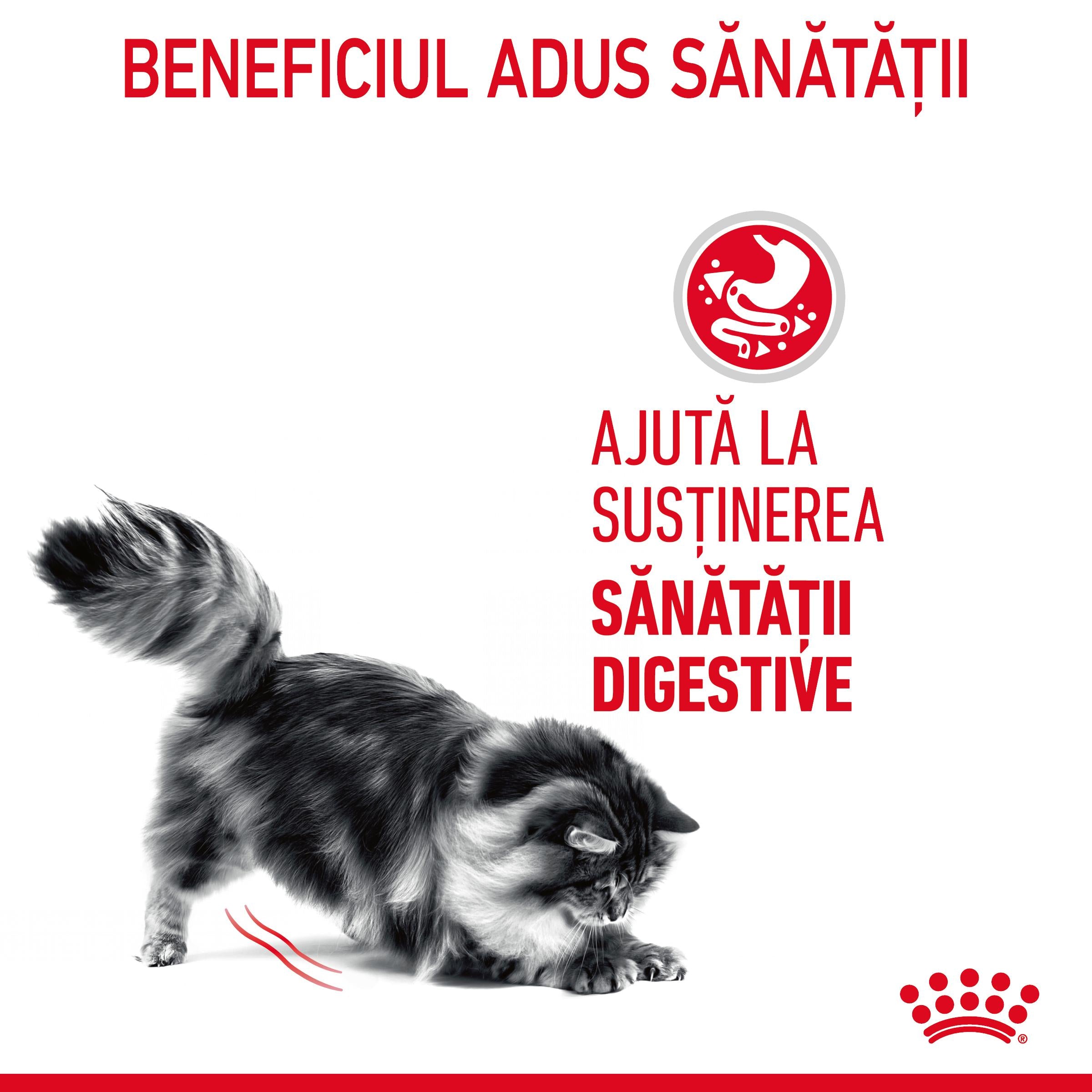 Royal Canin Digest Sensitive Care Adult hrana umeda pisica, confort digestiv (in sos)