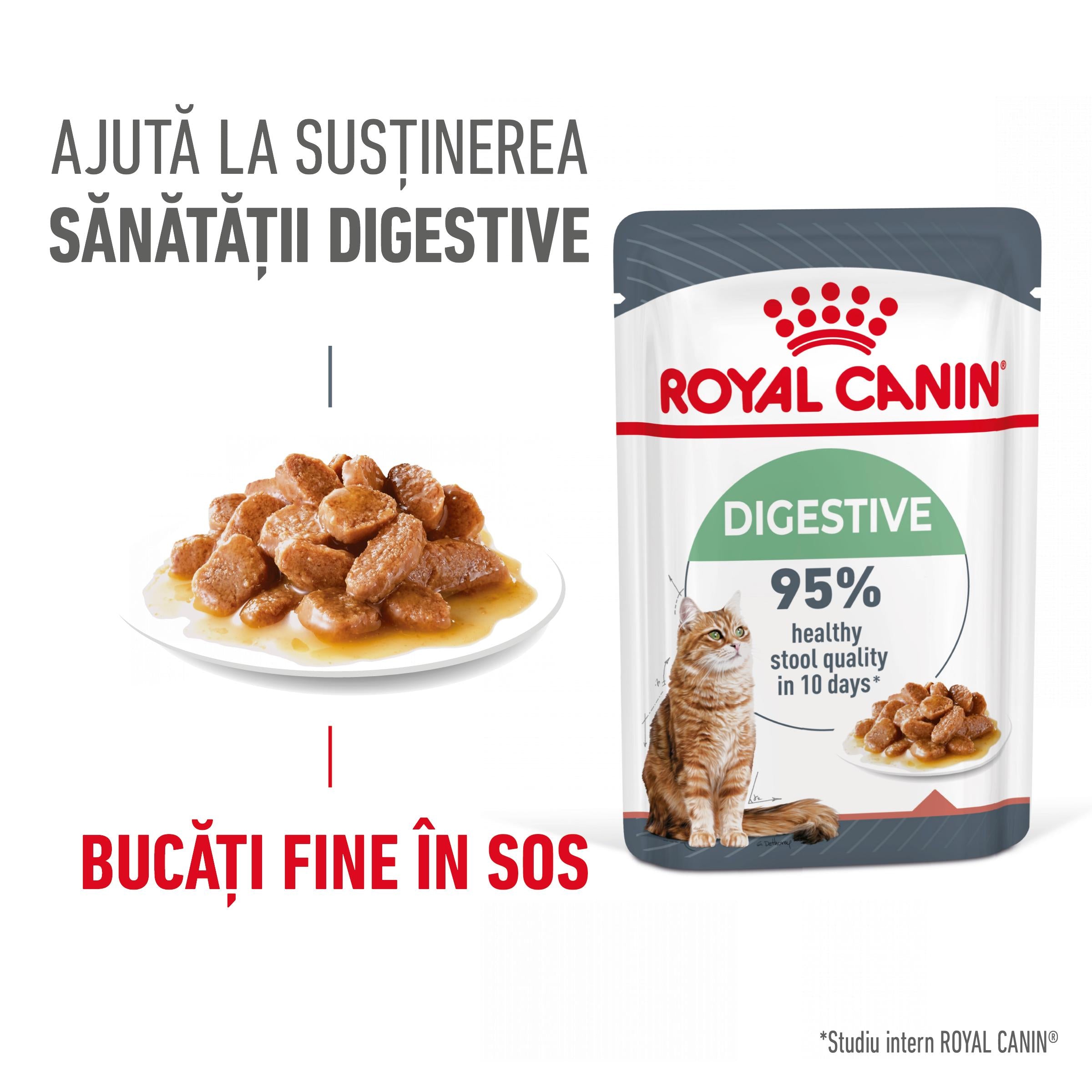 Royal Canin Digest Sensitive Care Adult hrana umeda pisica, confort digestiv (in sos)