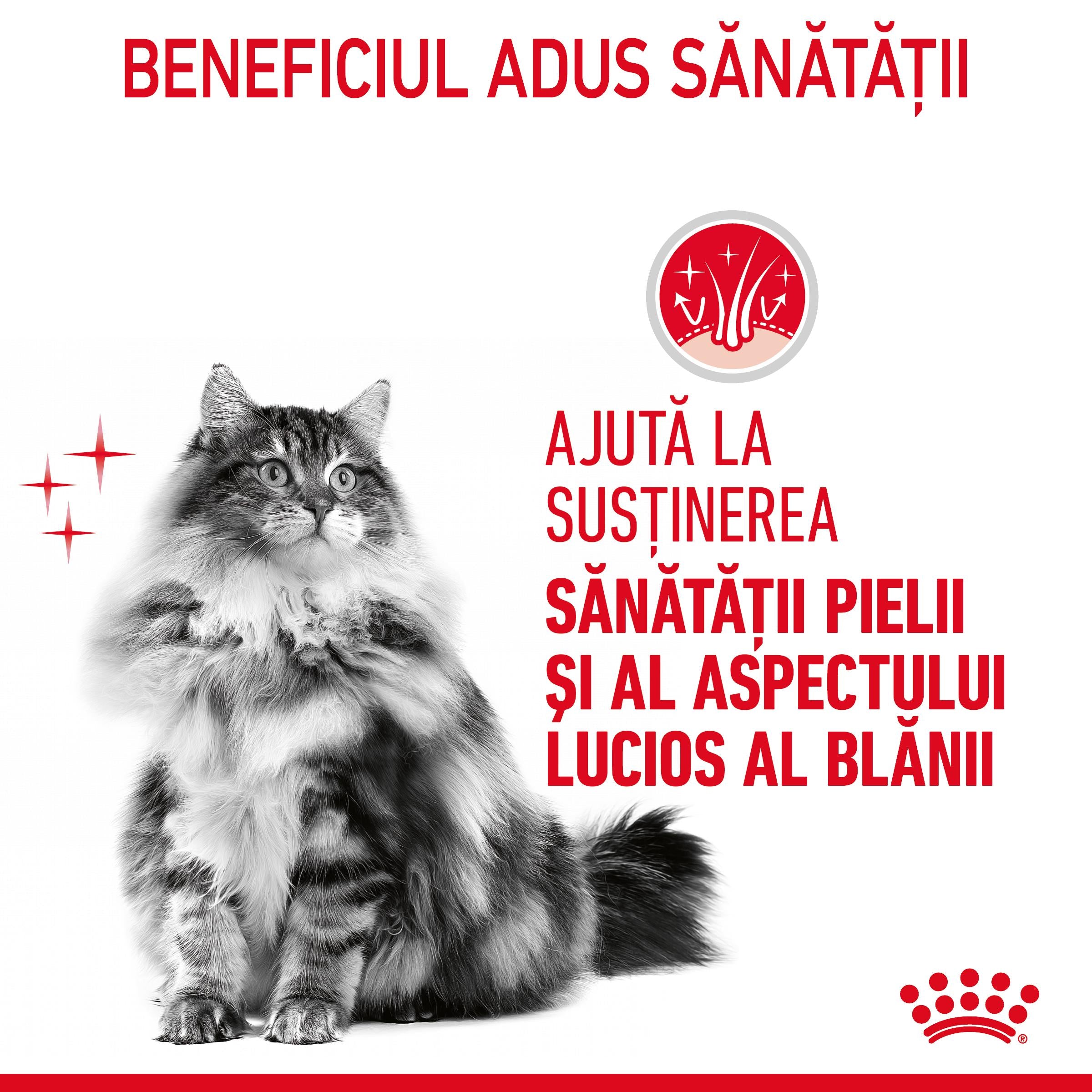 Royal Canin Hair&Skin Care Adult hrana uscata pisica, piele si blana