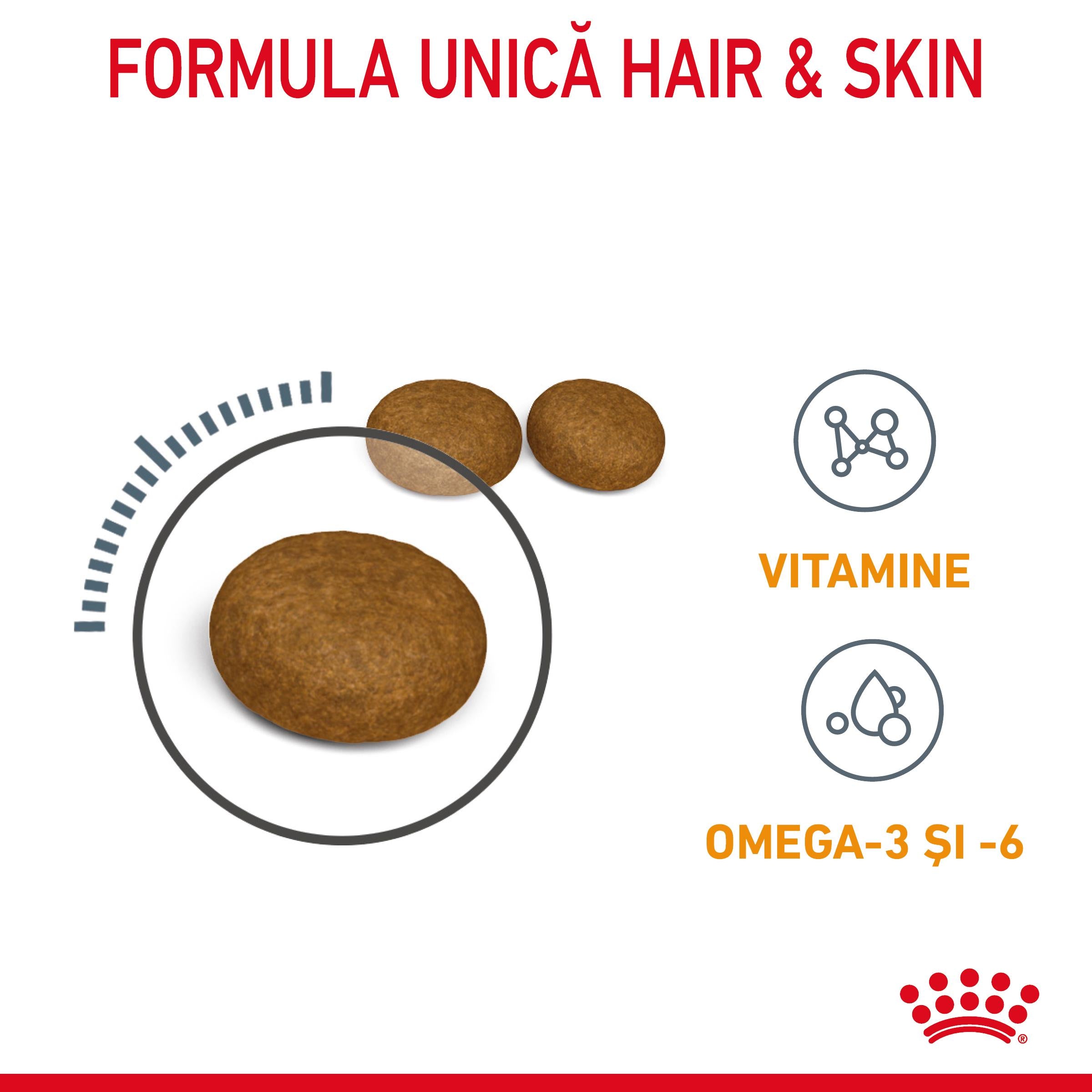 Royal Canin Hair&Skin Care Adult hrana uscata pisica, piele si blana