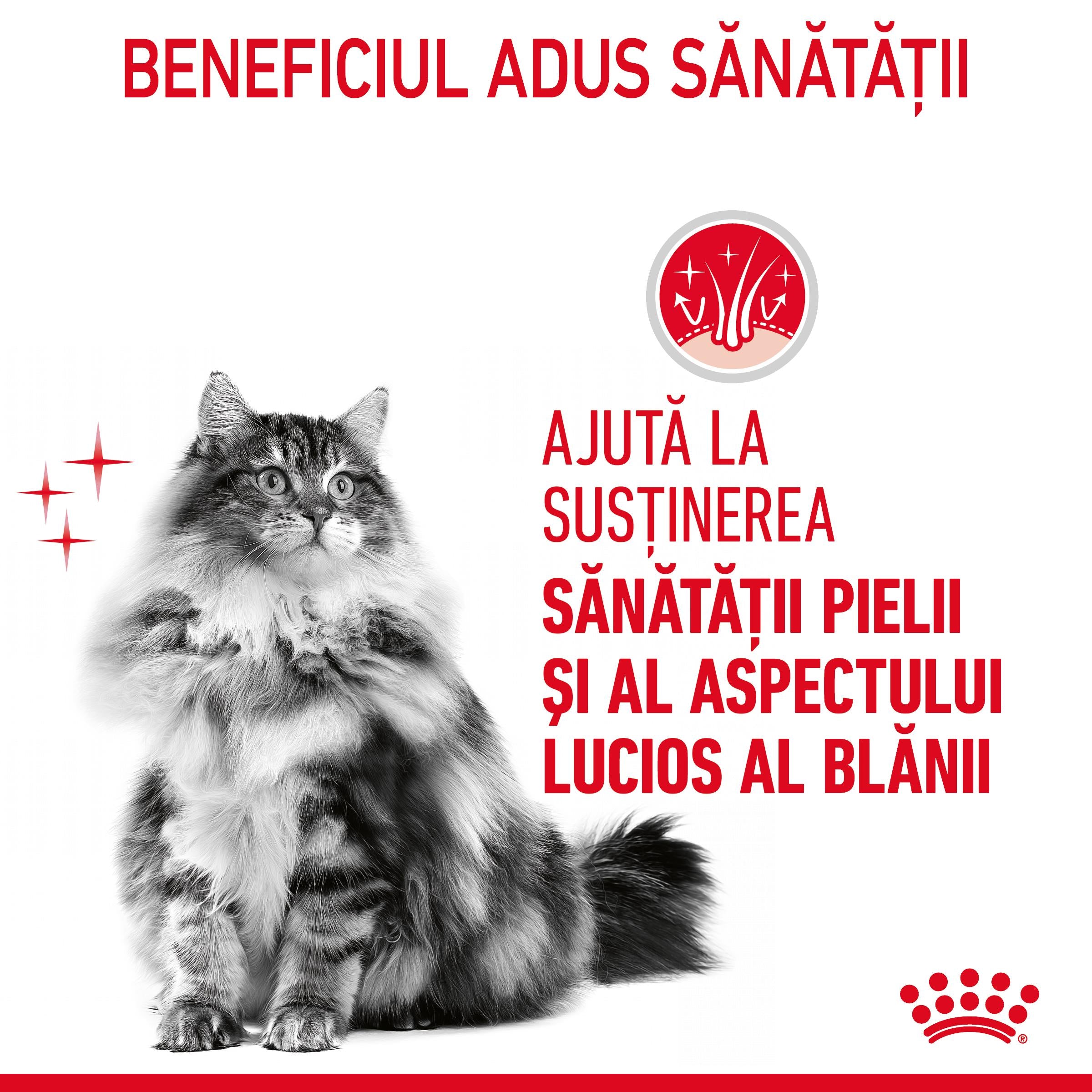 Royal Canin Hair&Skin Care Adult hrana umeda pisica, piele si blana (in sos)