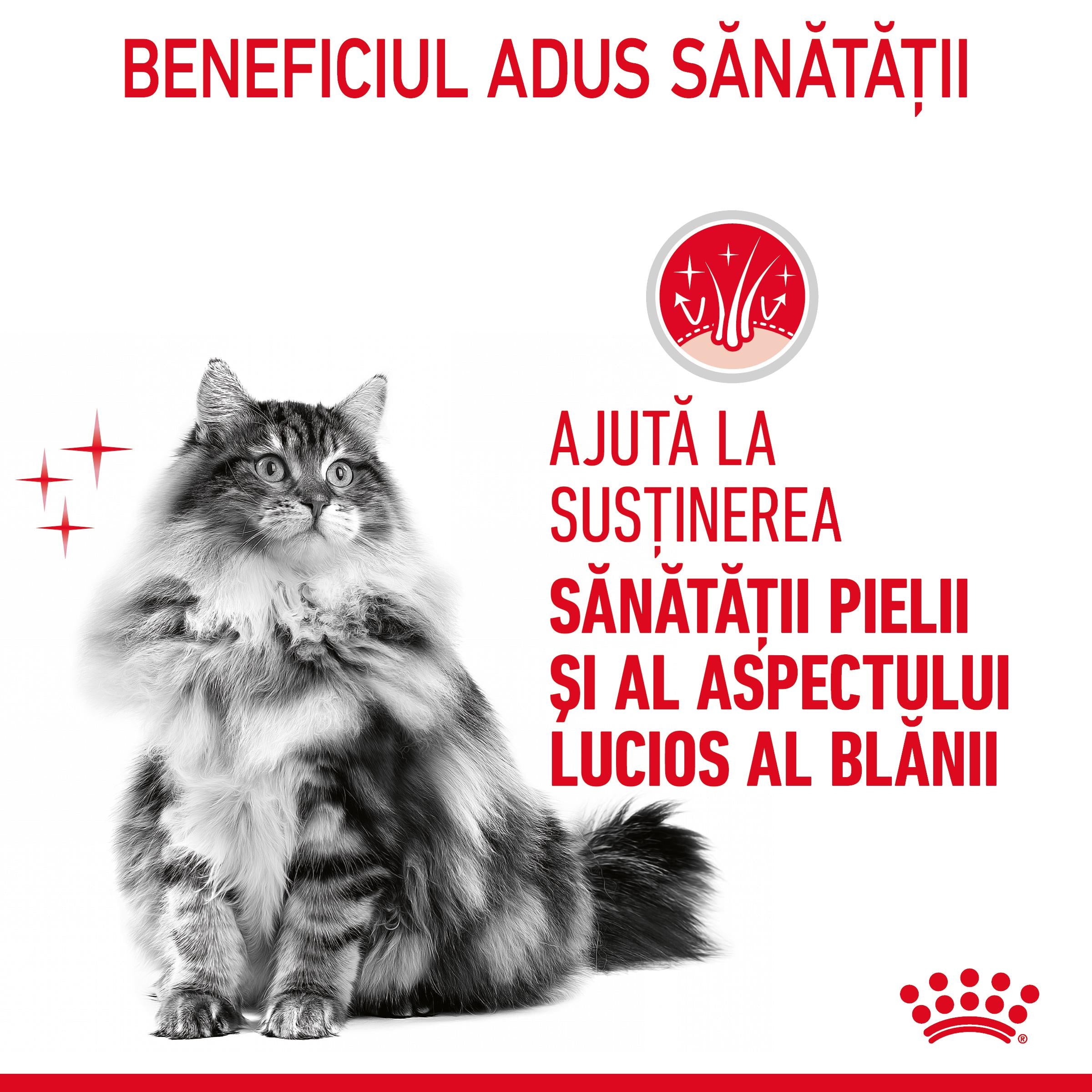 Royal Canin Hair&Skin Care Adult hrana umeda pisica, piele si blana (in aspic)