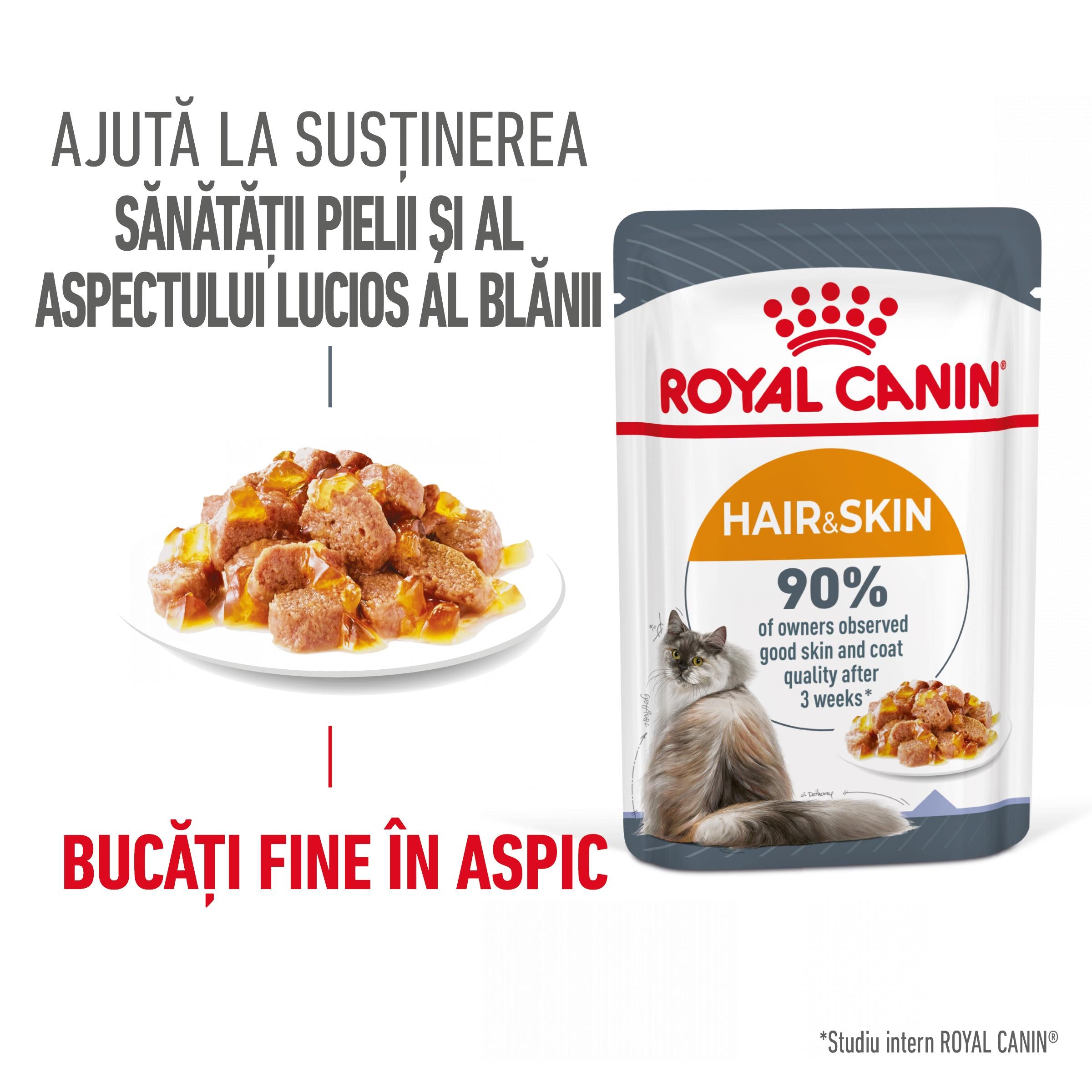 Royal Canin Hair&Skin Care Adult hrana umeda pisica, piele si blana (in aspic)