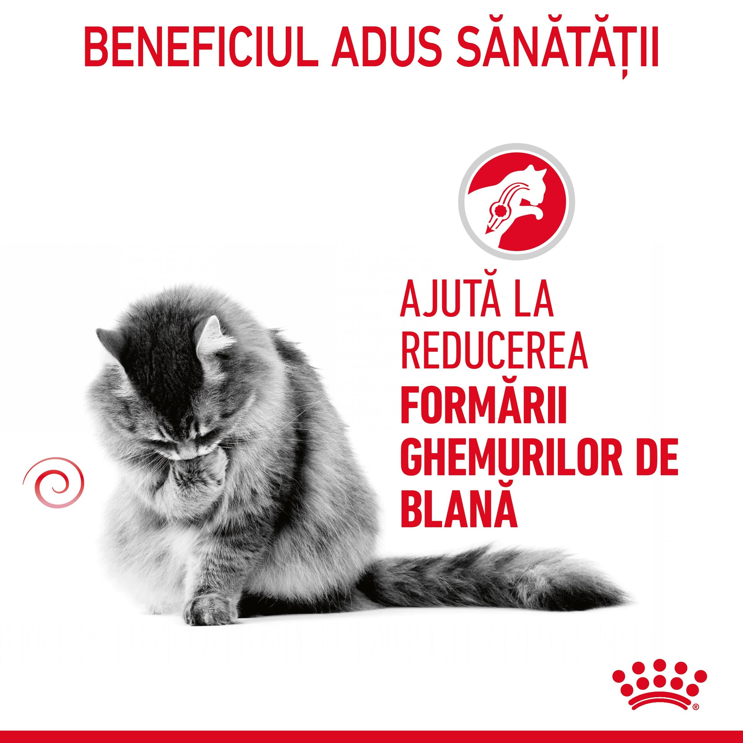 Royal Canin Hairball Care Adult hrana uscata pisica, limitarea ghemurilor de blana