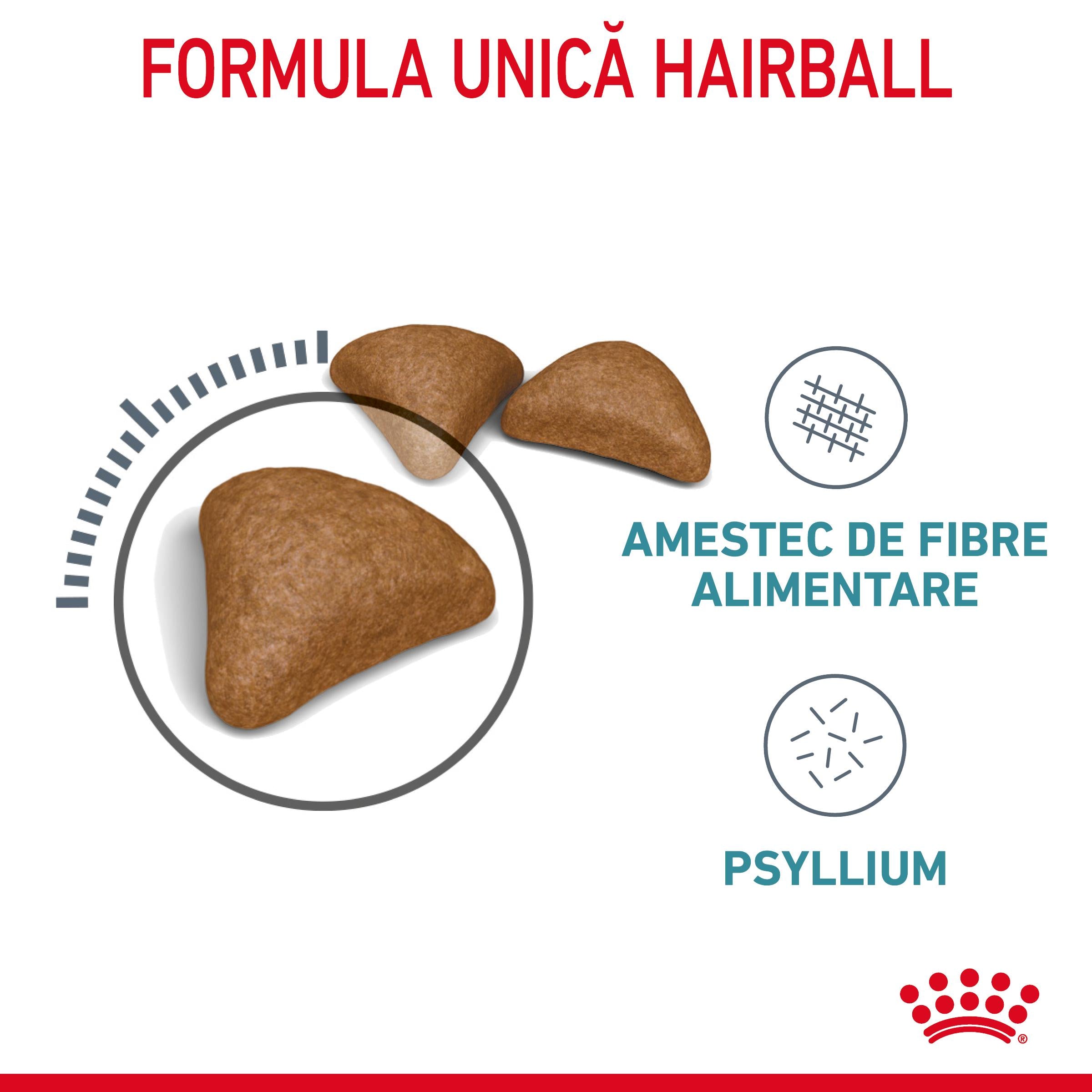 Royal Canin Hairball Care Adult hrana uscata pisica, limitarea ghemurilor de blana