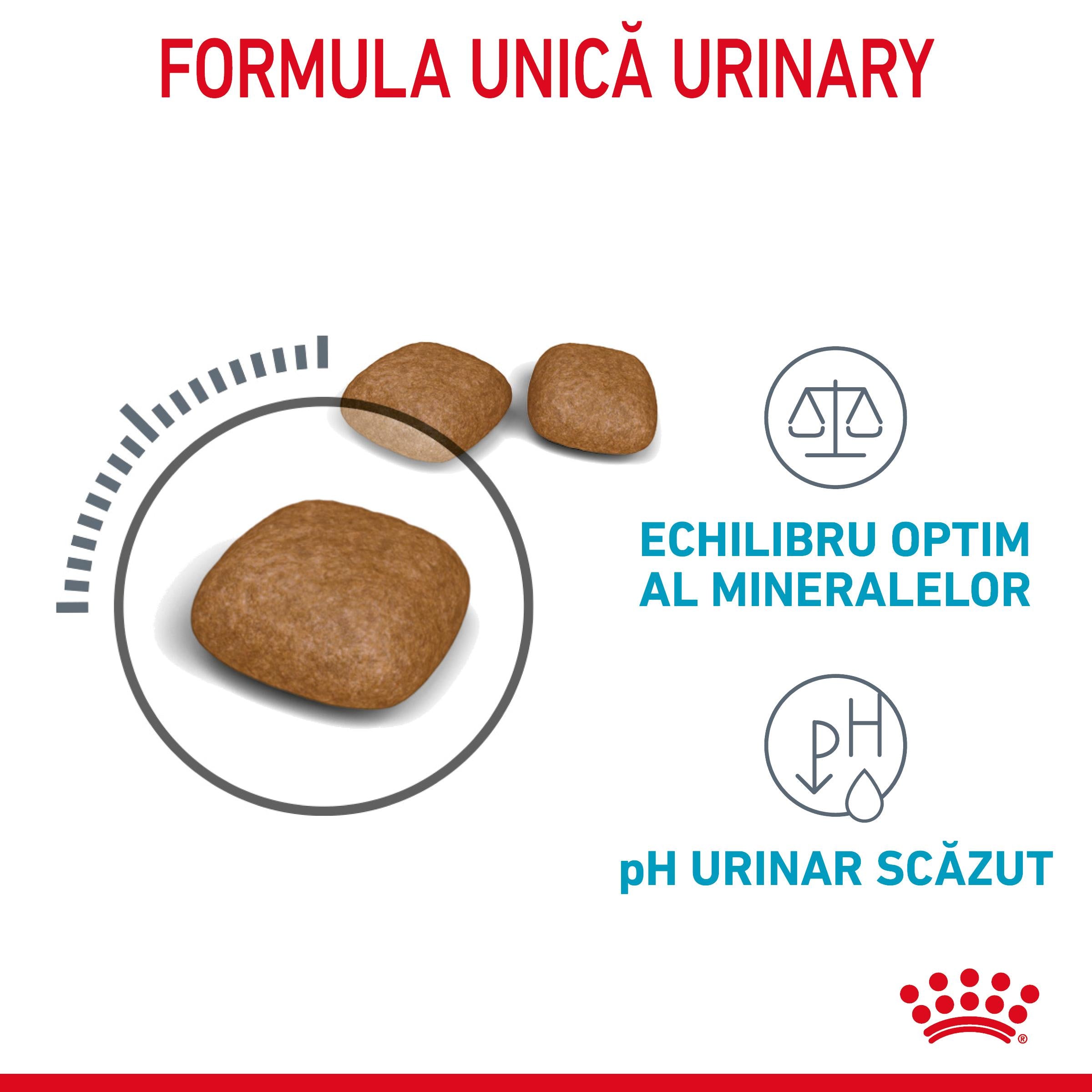 Royal Canin Urinary Care Adult hrana uscata pisica, sanatatea tractului urinar