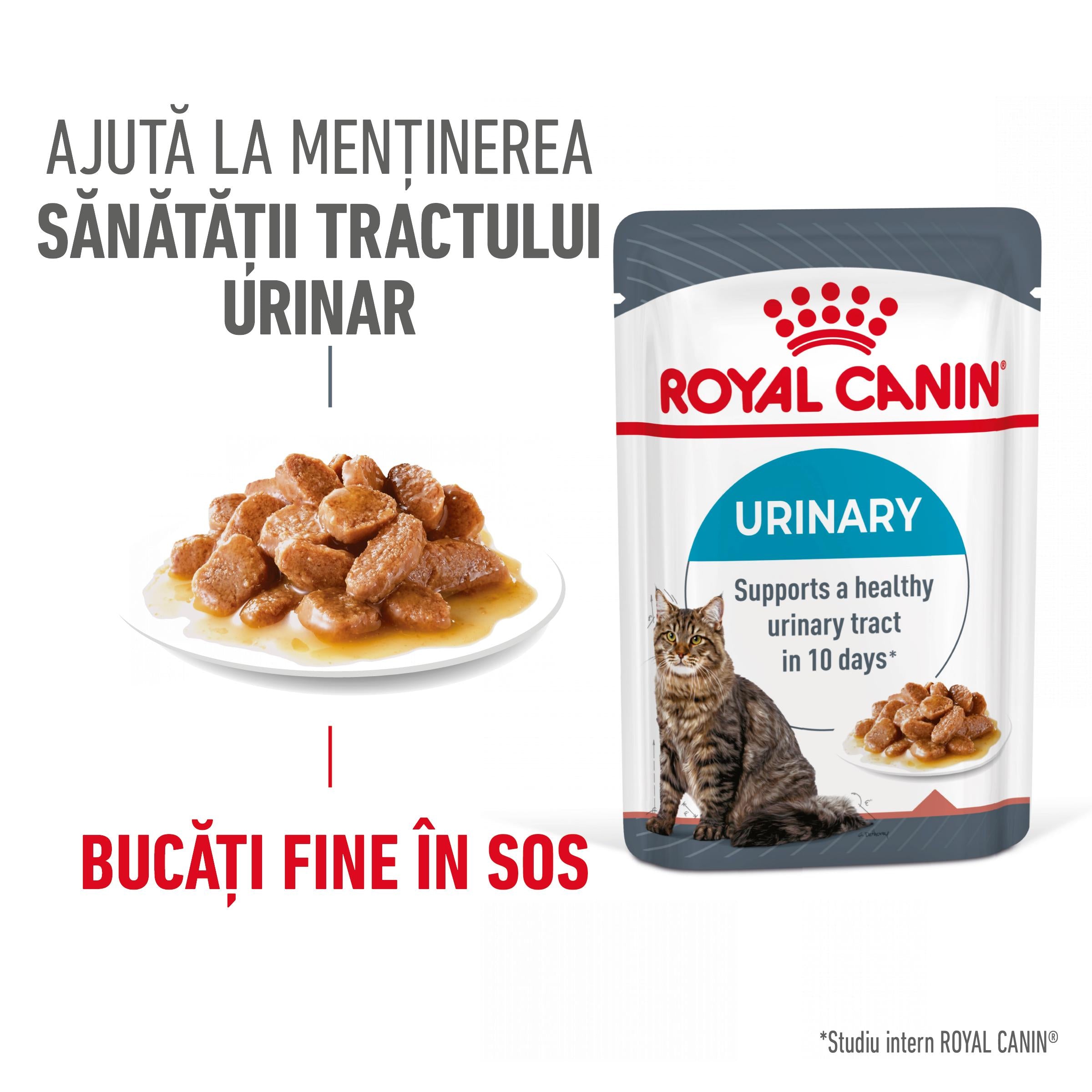 Royal Canin Urinary Care Adult hrana umeda pisica, sanatatea tractului urinar (in sos)