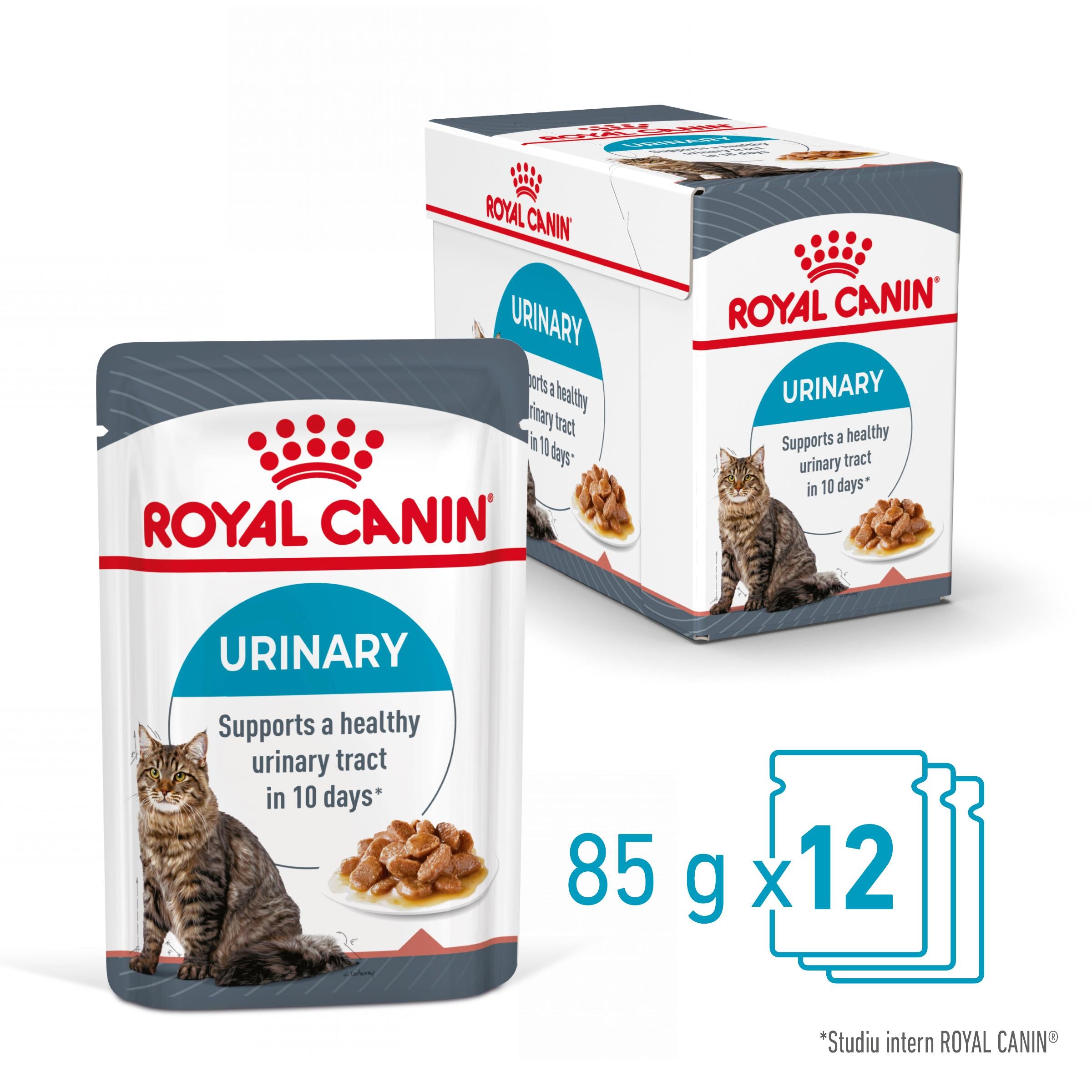 Royal Canin Urinary Care Adult hrana umeda pisica, sanatatea tractului urinar (in sos)