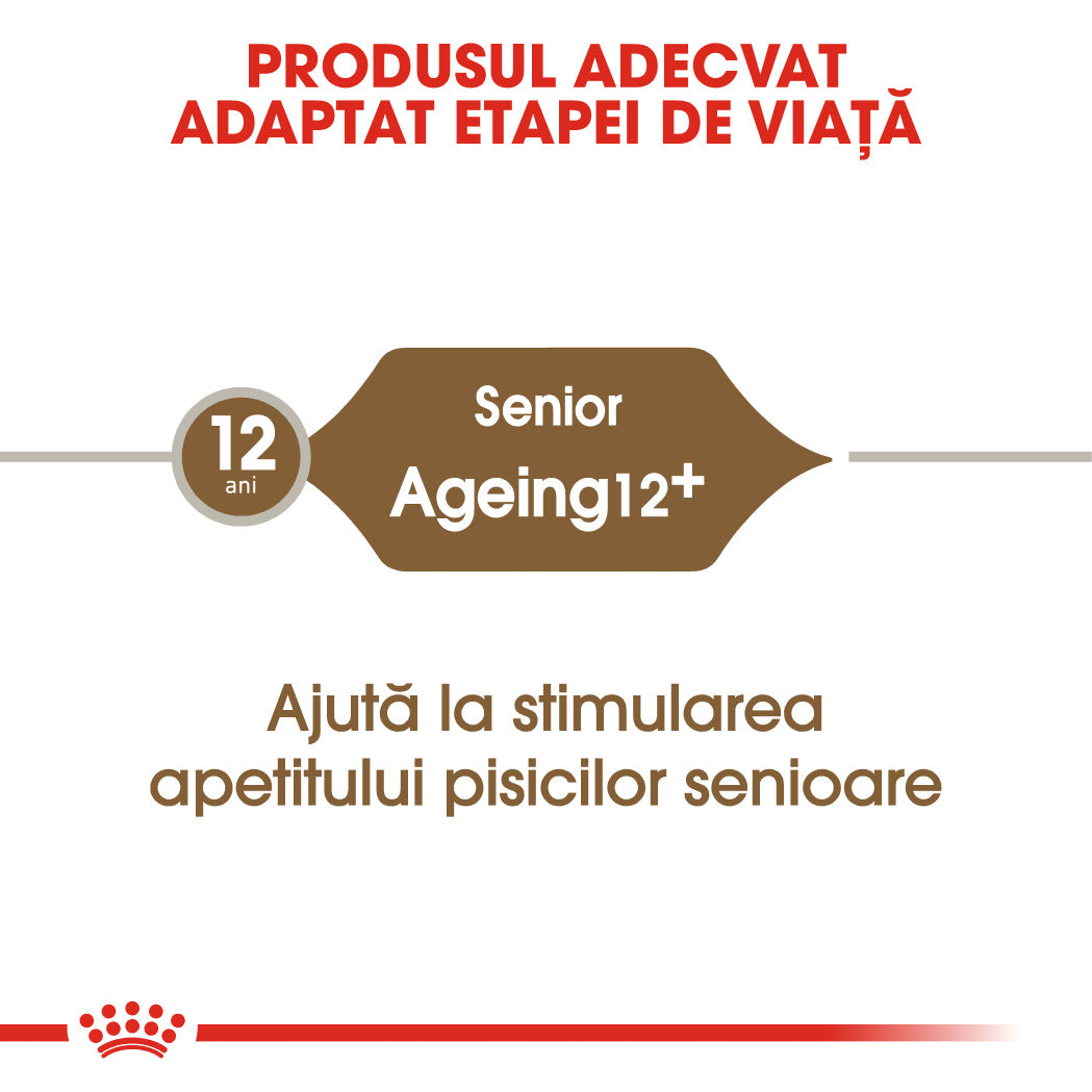 Royal Canin Ageing 12 + hrana uscata pisica senior