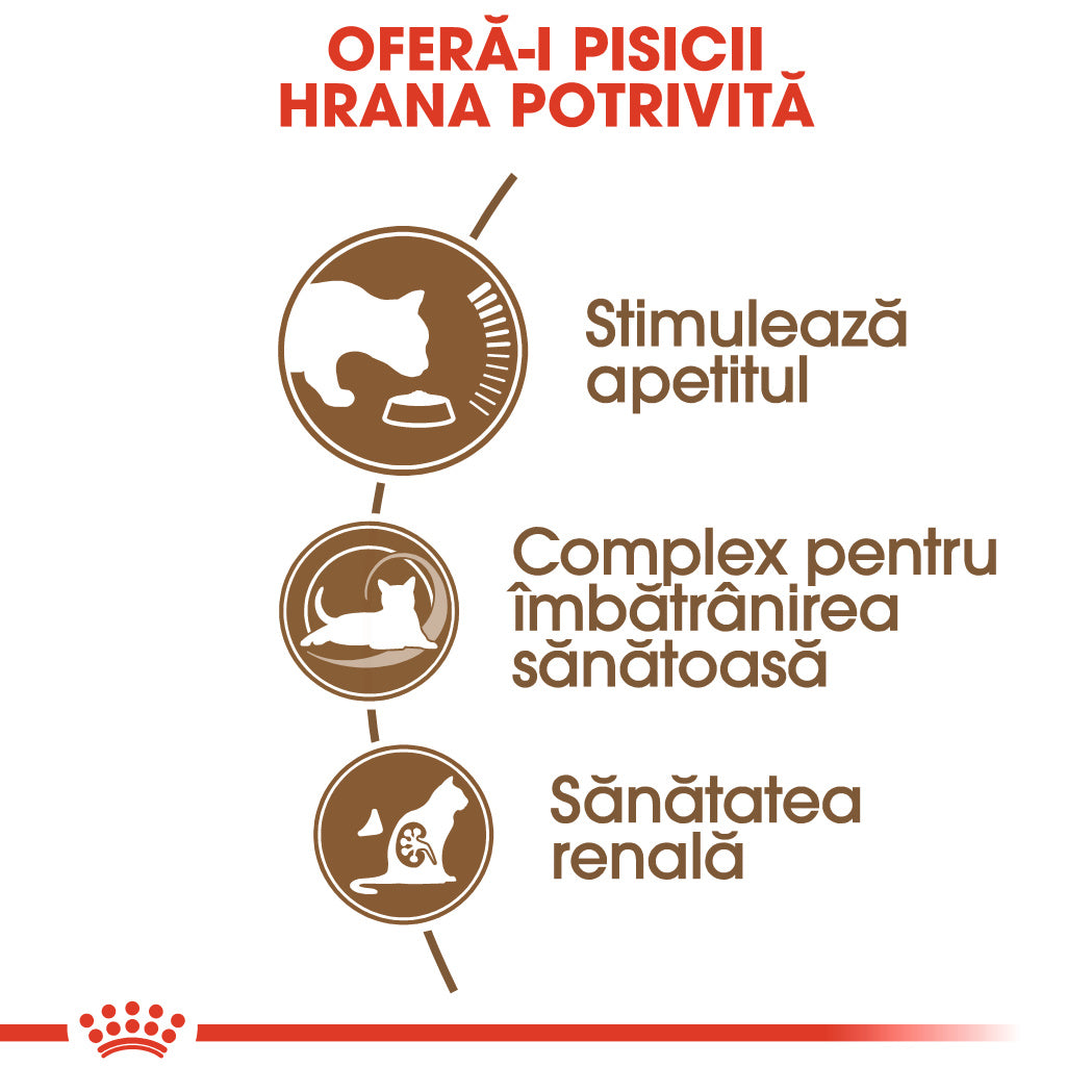 Royal Canin Ageing 12 + hrana uscata pisica senior