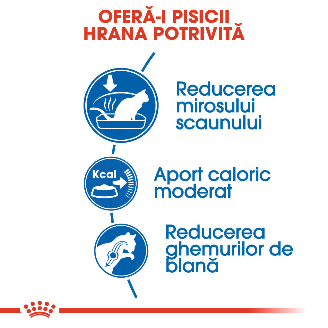 Royal Canin Indoor Adult hrana uscata pisica de interior