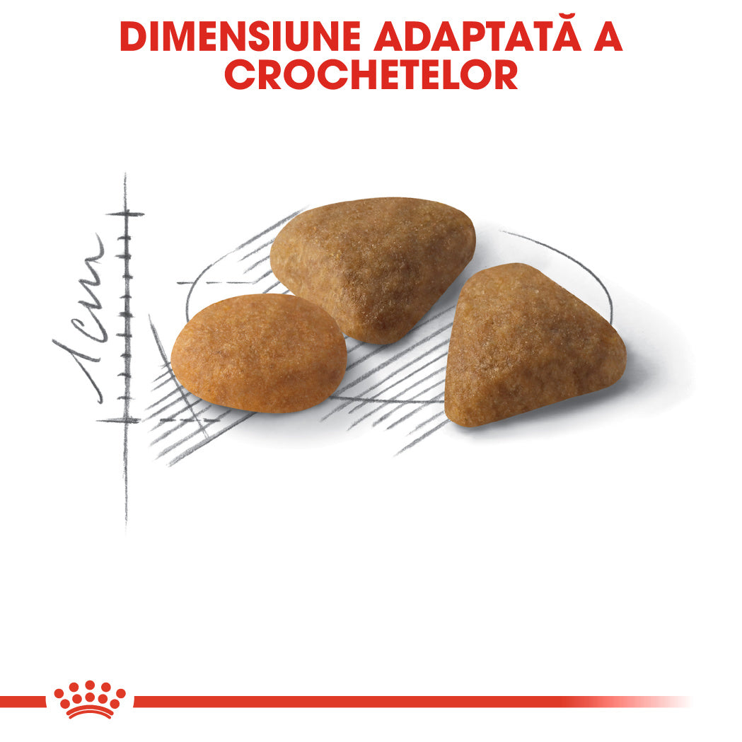 Royal Canin Exigent Savour Adult hrana uscata pisica, apetit capricios