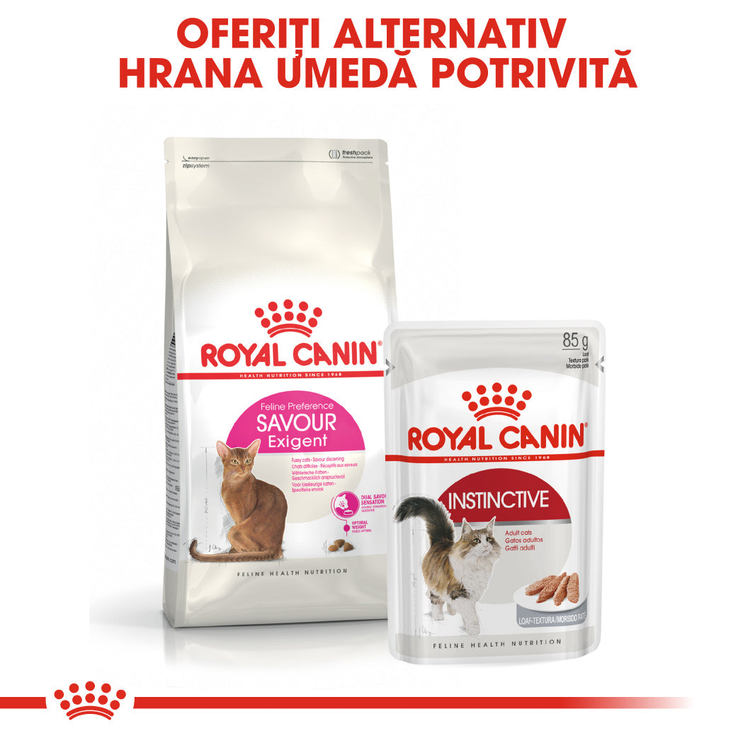 Royal Canin Exigent Savour Adult hrana uscata pisica, apetit capricios