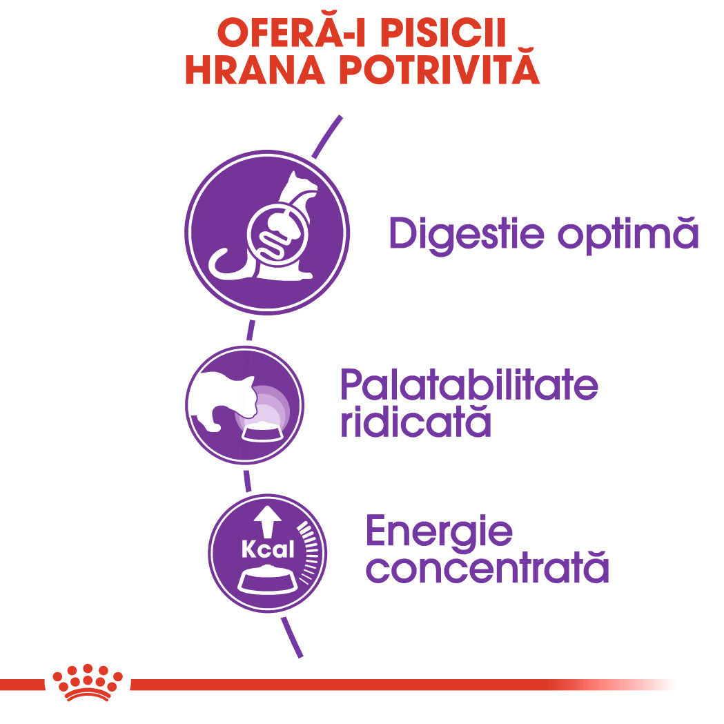 Royal Canin Sensible Adult hrana uscata pisica, digestie optima