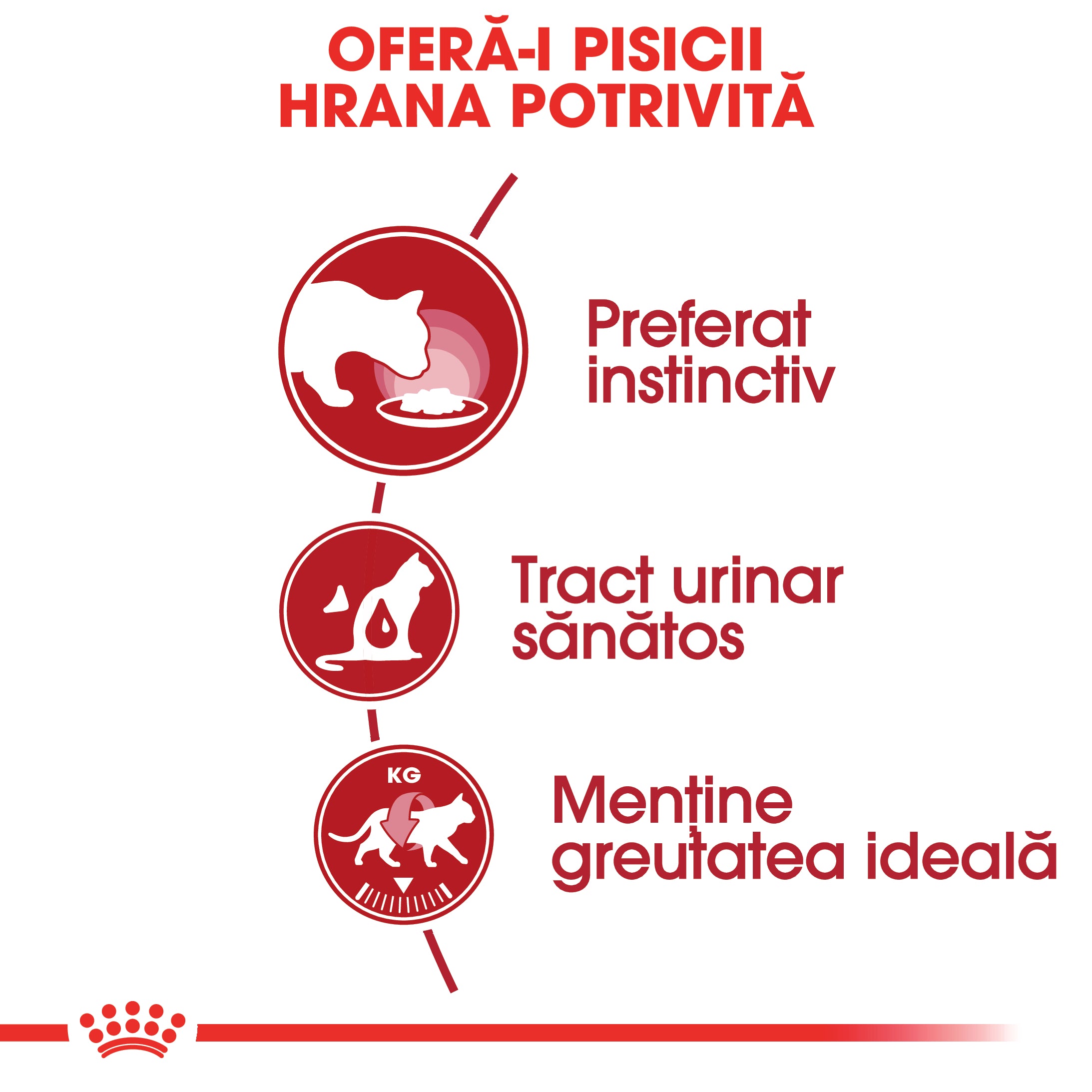 Royal Canin Instinctive Adult hrana umeda pisica (in sos)