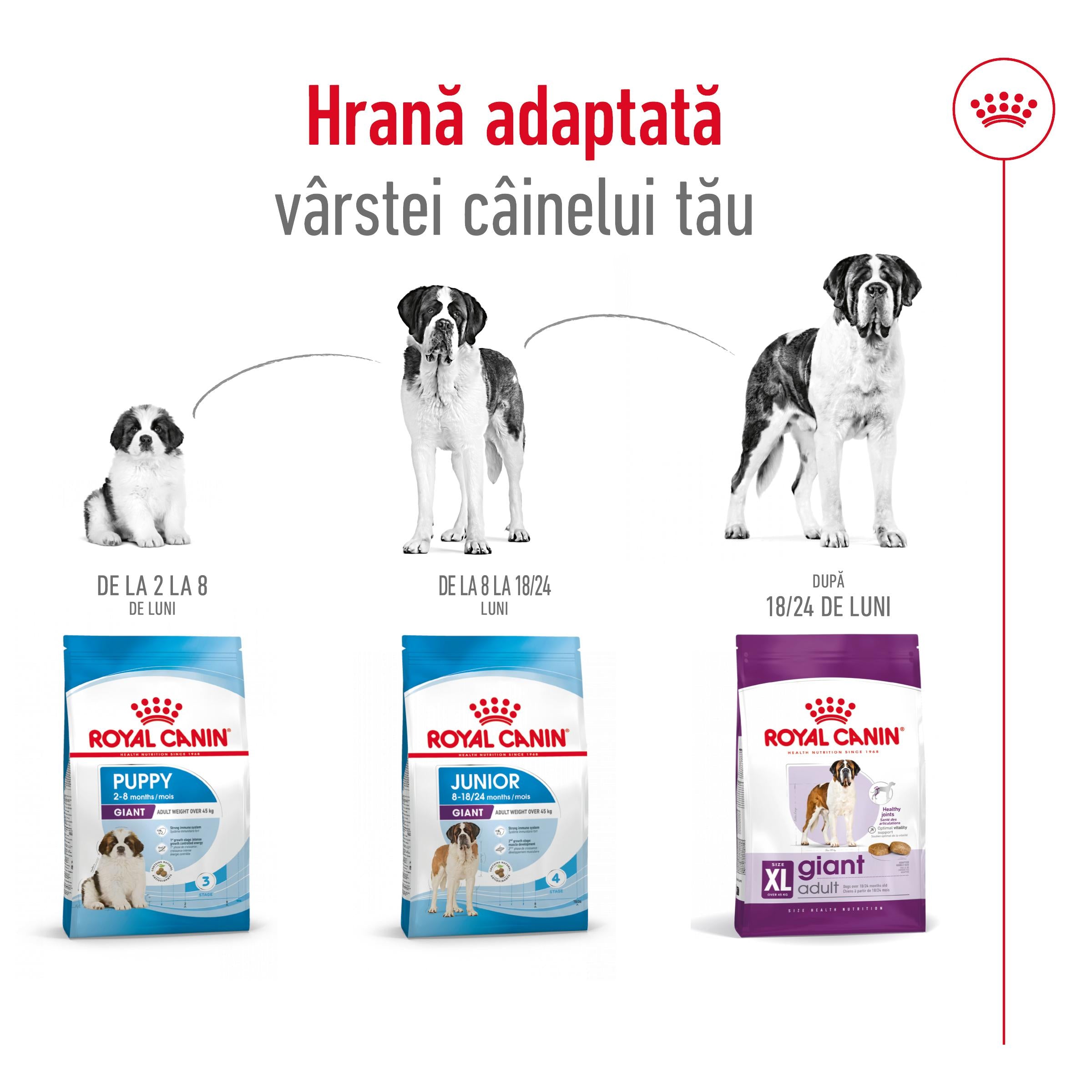 Royal Canin Giant Adult hrana uscata caine 15kg