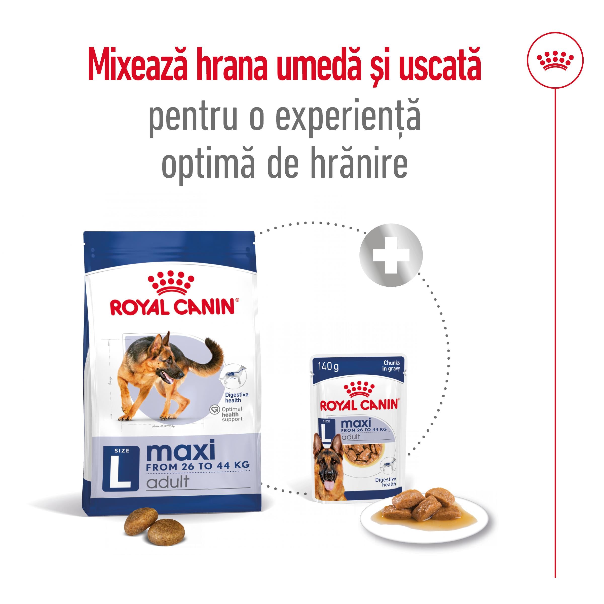 Royal Canin Maxi Adult hrana uscata caine