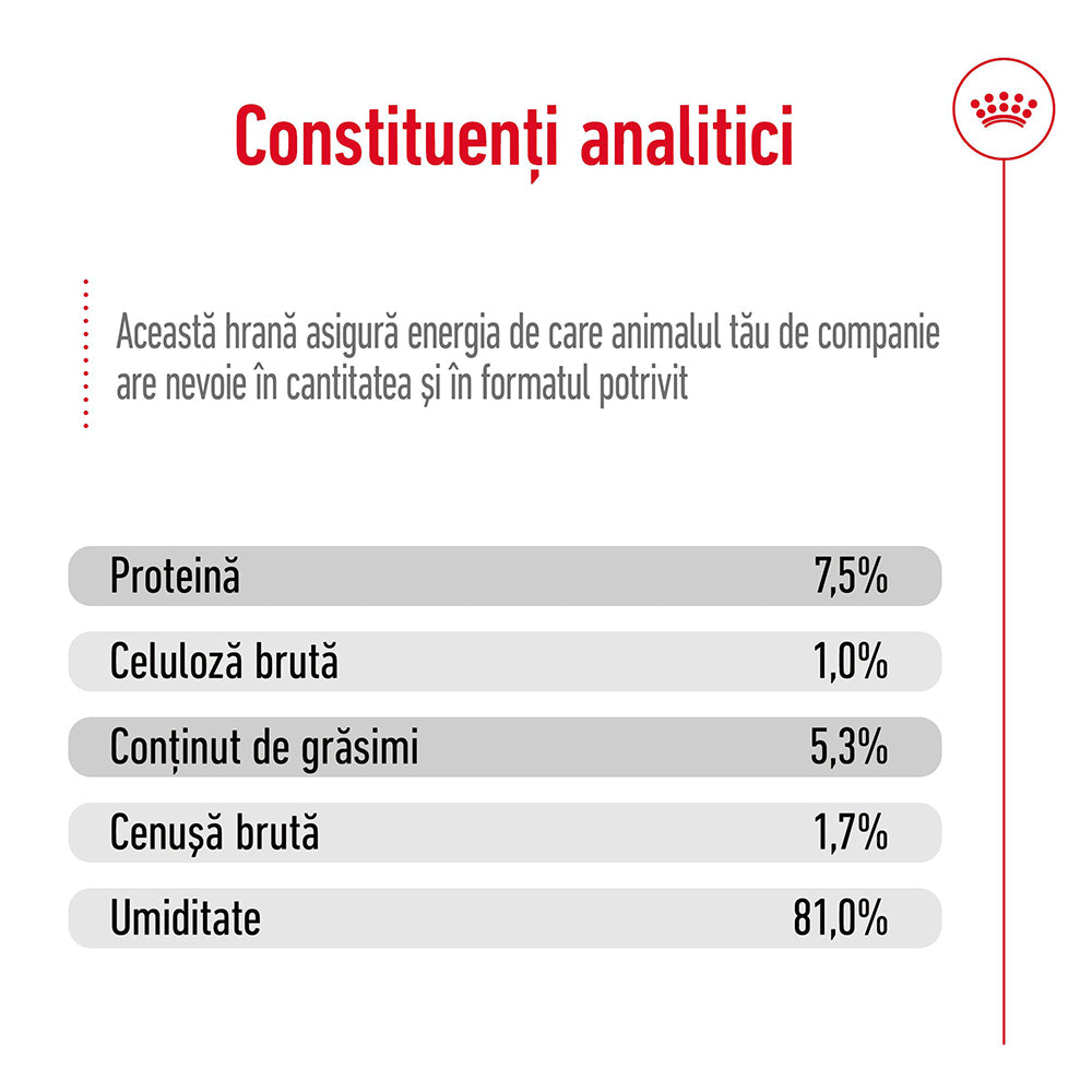 Royal Canin Maxi Adult hrana umeda caine (in sos)