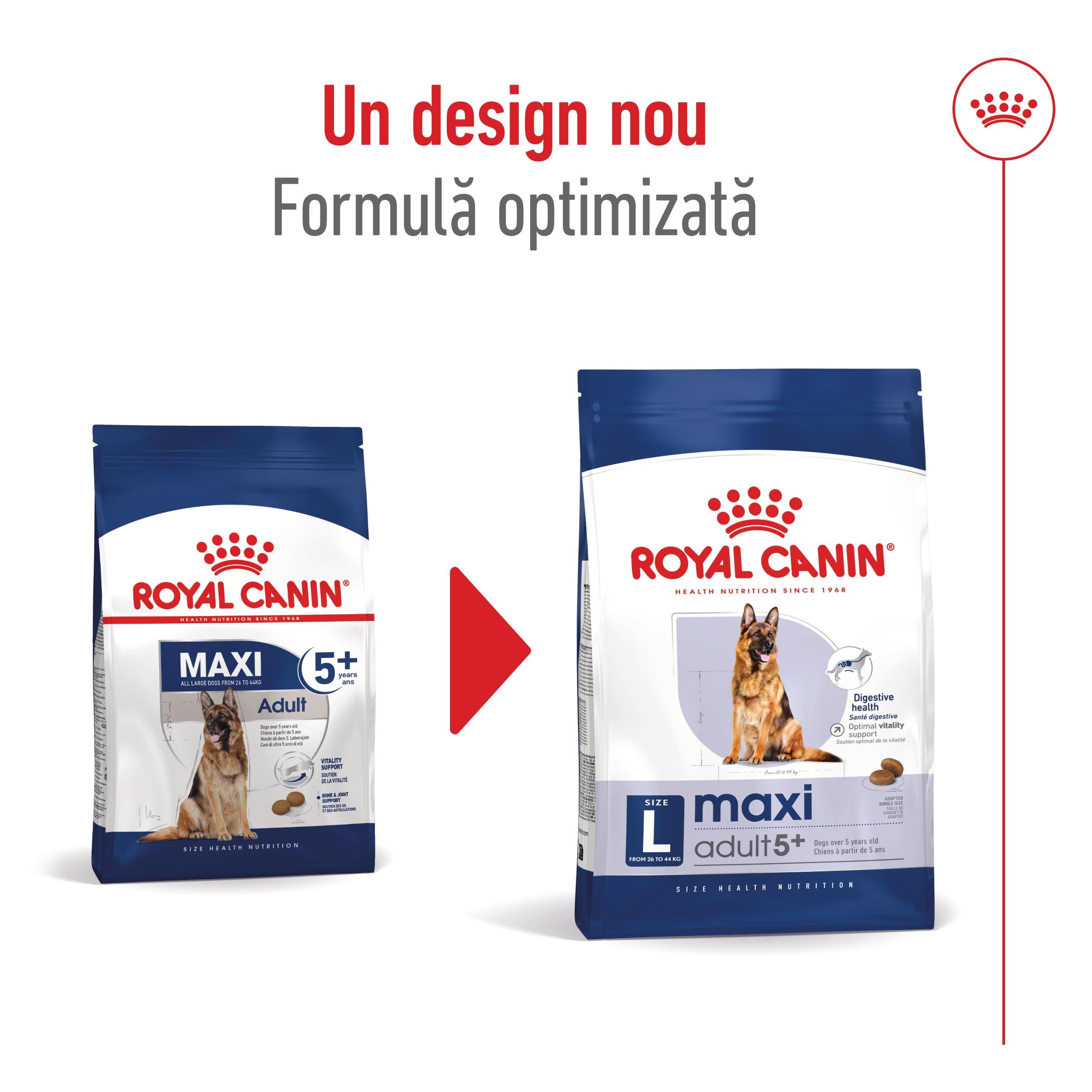 Royal Canin Maxi Adult 5+ hrana uscata caine 4kg