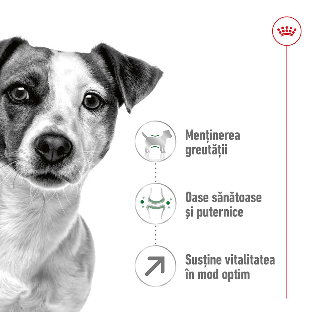 Royal Canin Mini Adult 8+ hrana uscata caine 2kg