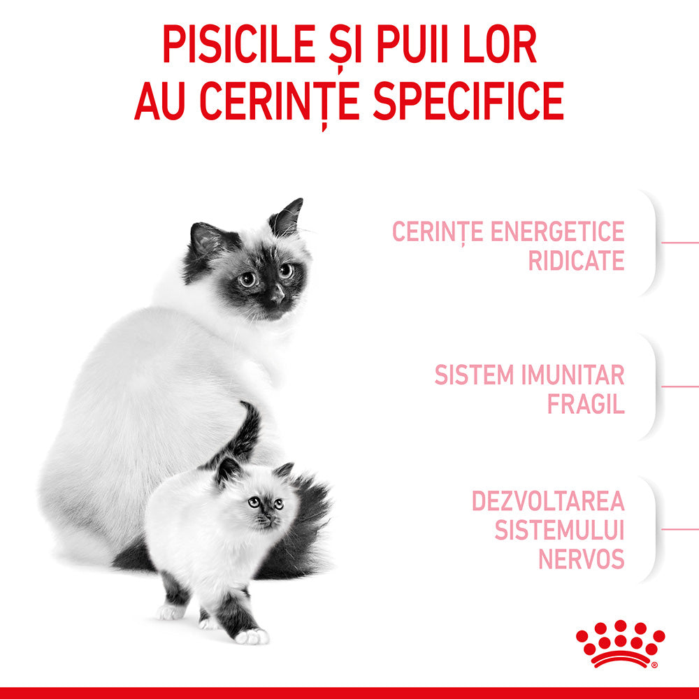 Royal Canin Mother & BabyCat hrana uscata pisica, mama si puiul