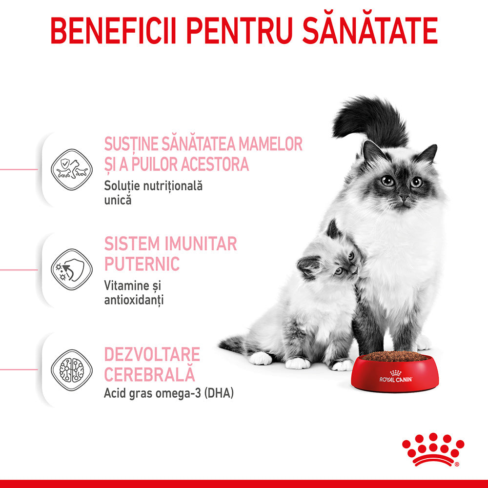 Royal Canin Mother & BabyCat hrana uscata pisica, mama si puiul