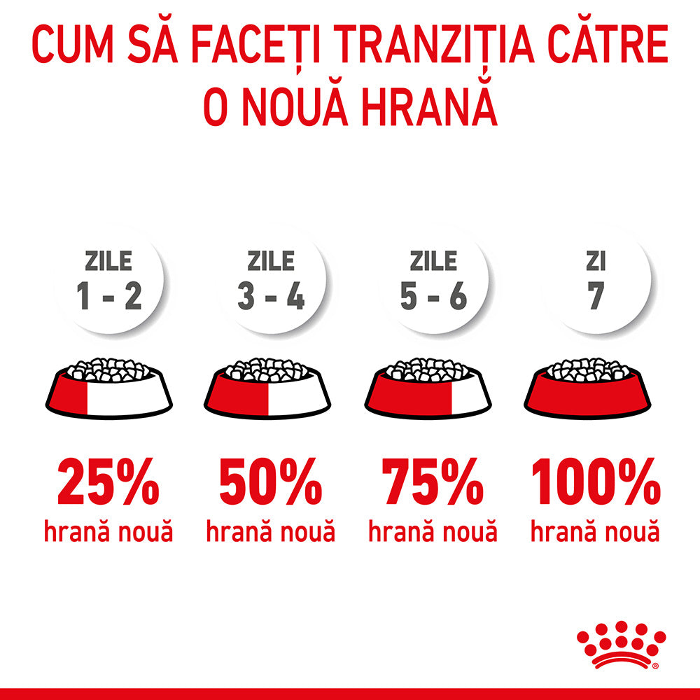 Royal Canin Mother & BabyCat hrana uscata pisica, mama si puiul