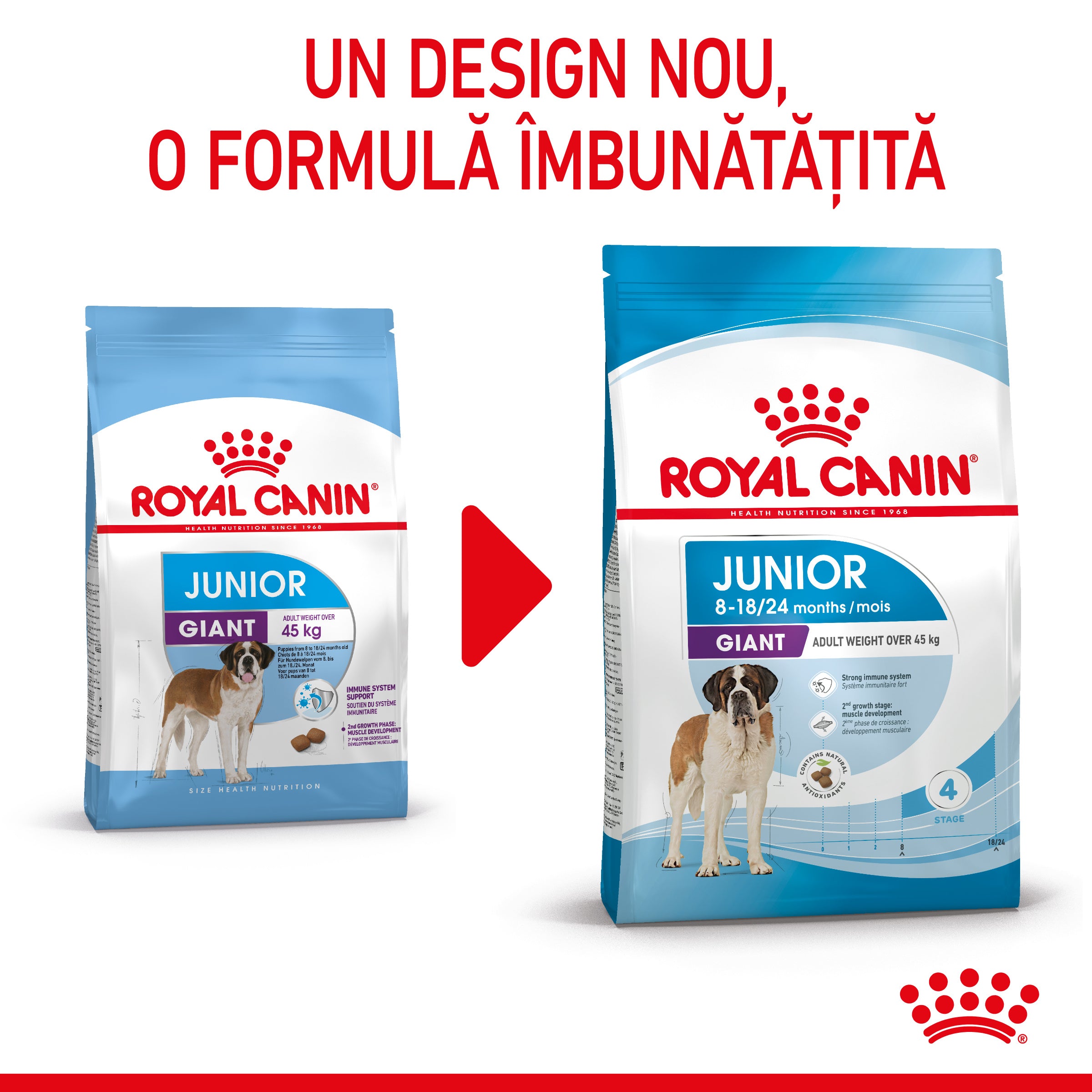 Royal Canin Giant Junior hrana uscata caine junior etapa de crestere 15kg