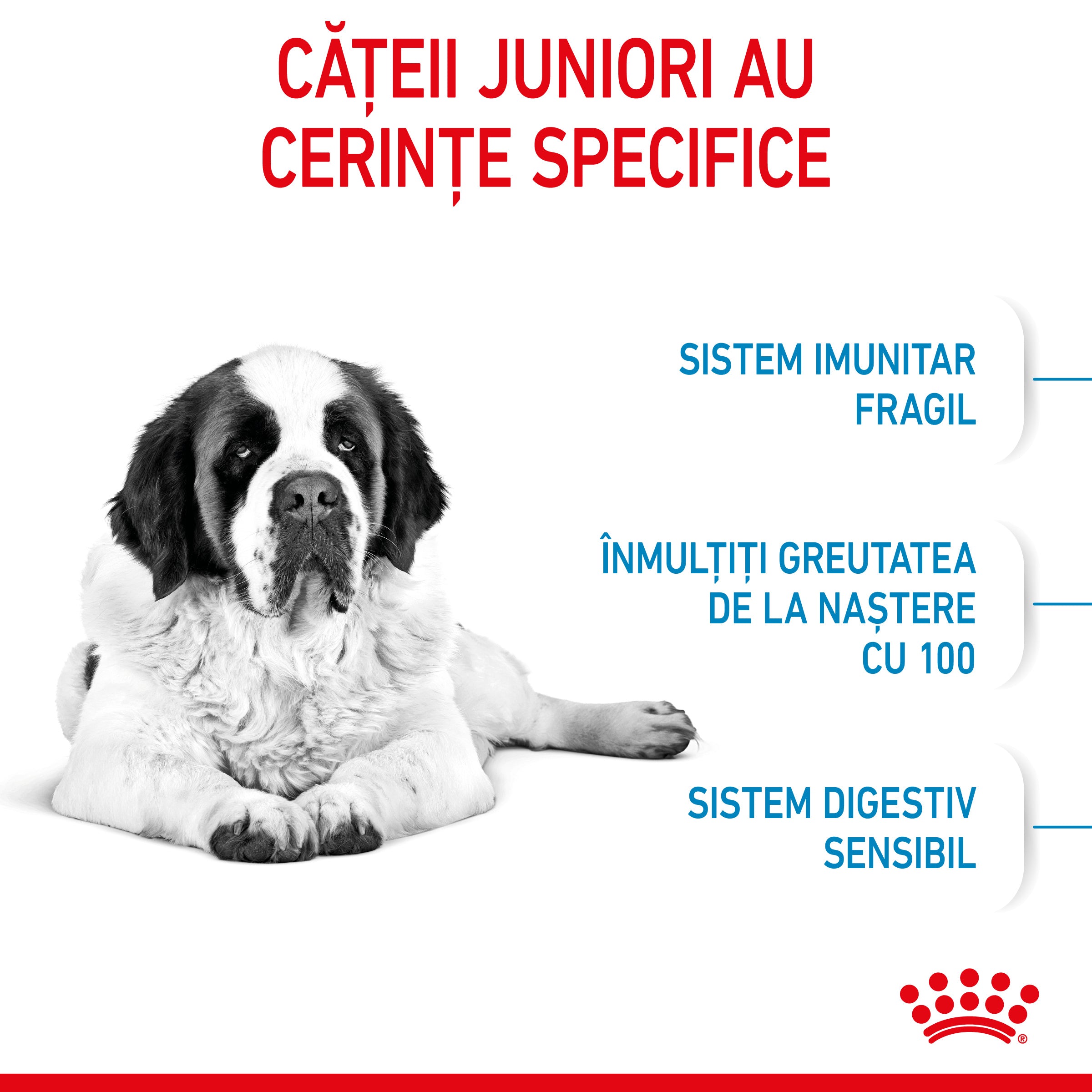 Royal Canin Giant Junior hrana uscata caine junior etapa de crestere 15kg