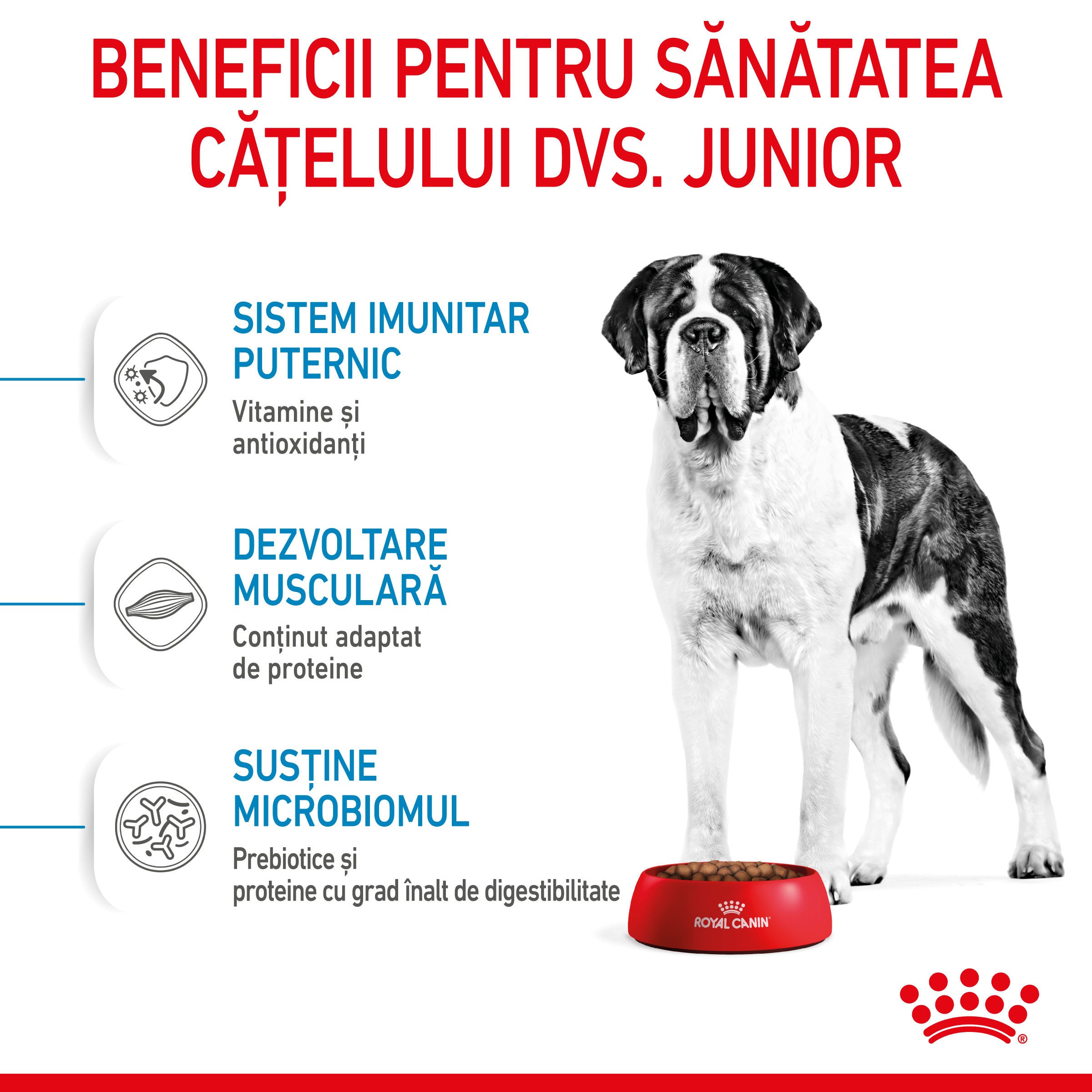 Royal Canin Giant Junior hrana uscata caine junior etapa de crestere 15kg