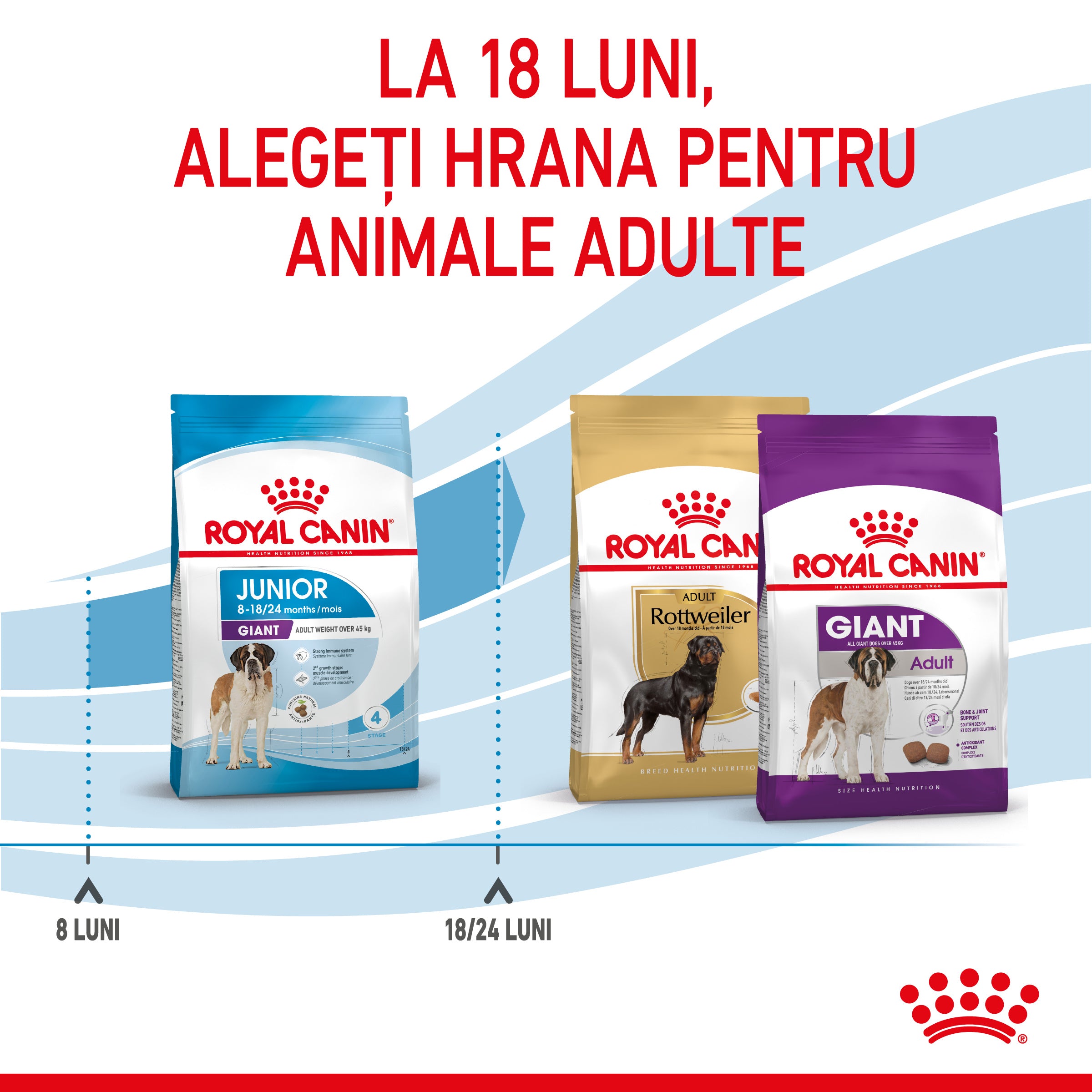 Royal Canin Giant Junior hrana uscata caine junior etapa de crestere 15kg