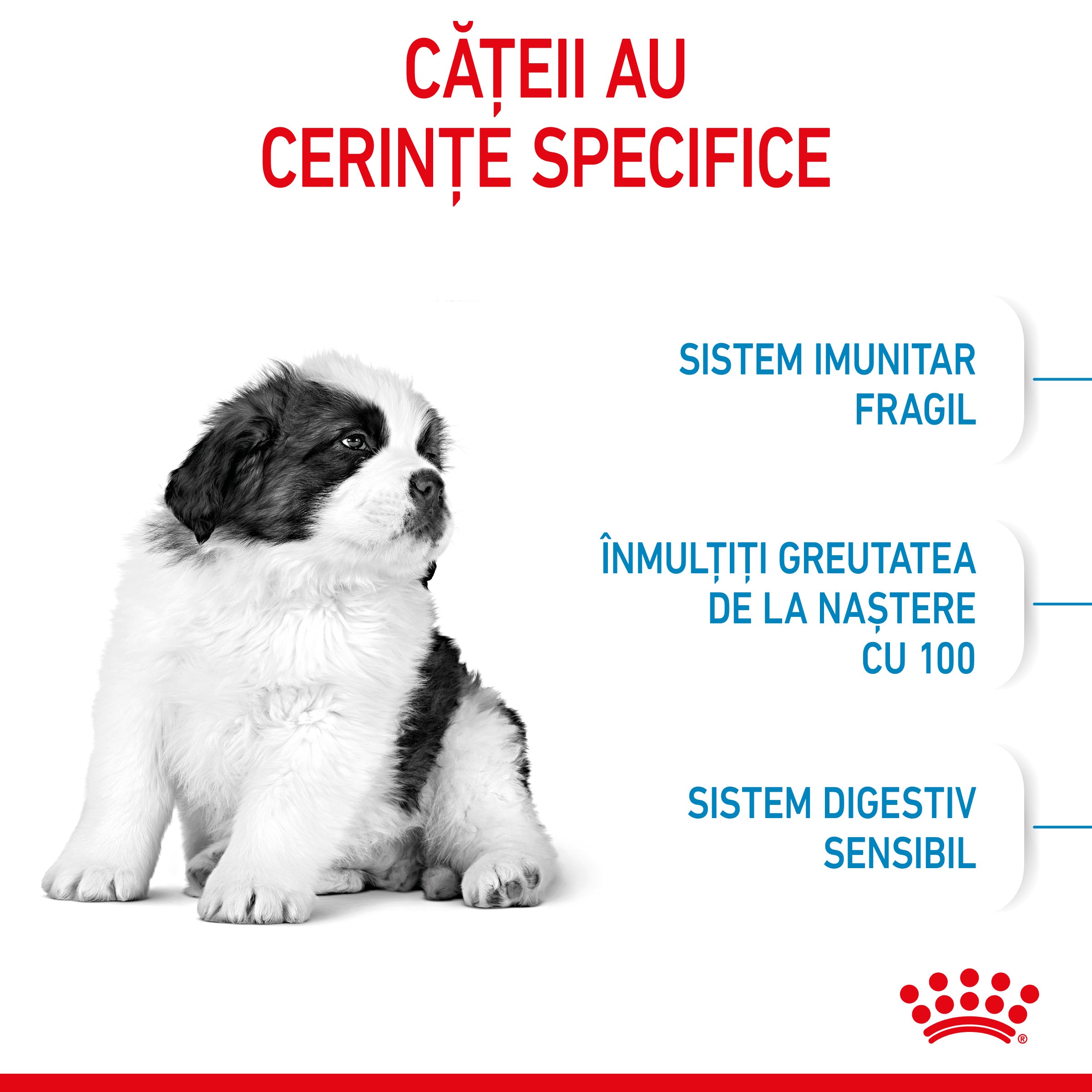 Royal Canin Giant Puppy hrana uscata caine junior etapa 1 de crestere 15kg