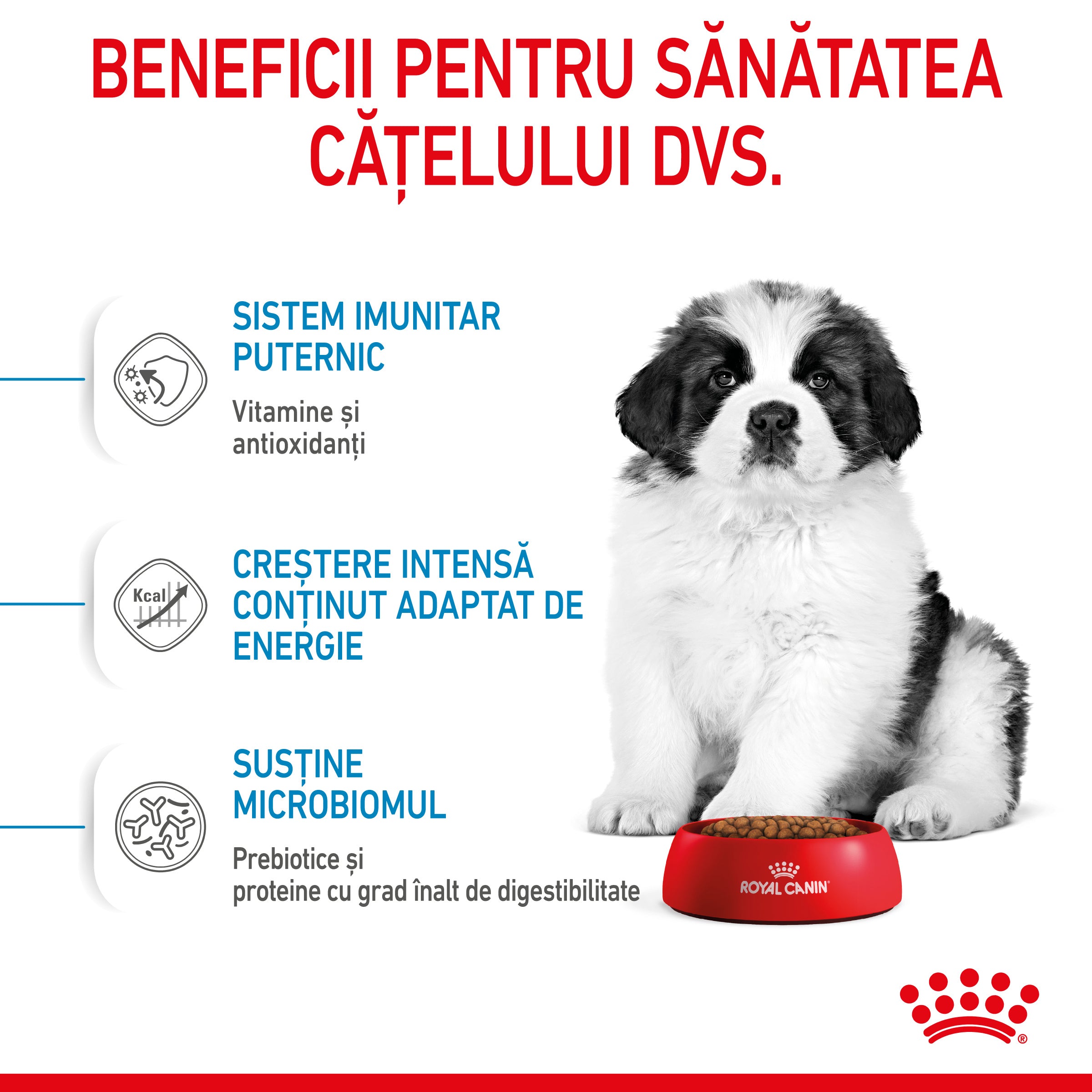 Royal Canin Giant Puppy hrana uscata caine junior etapa 1 de crestere 15kg