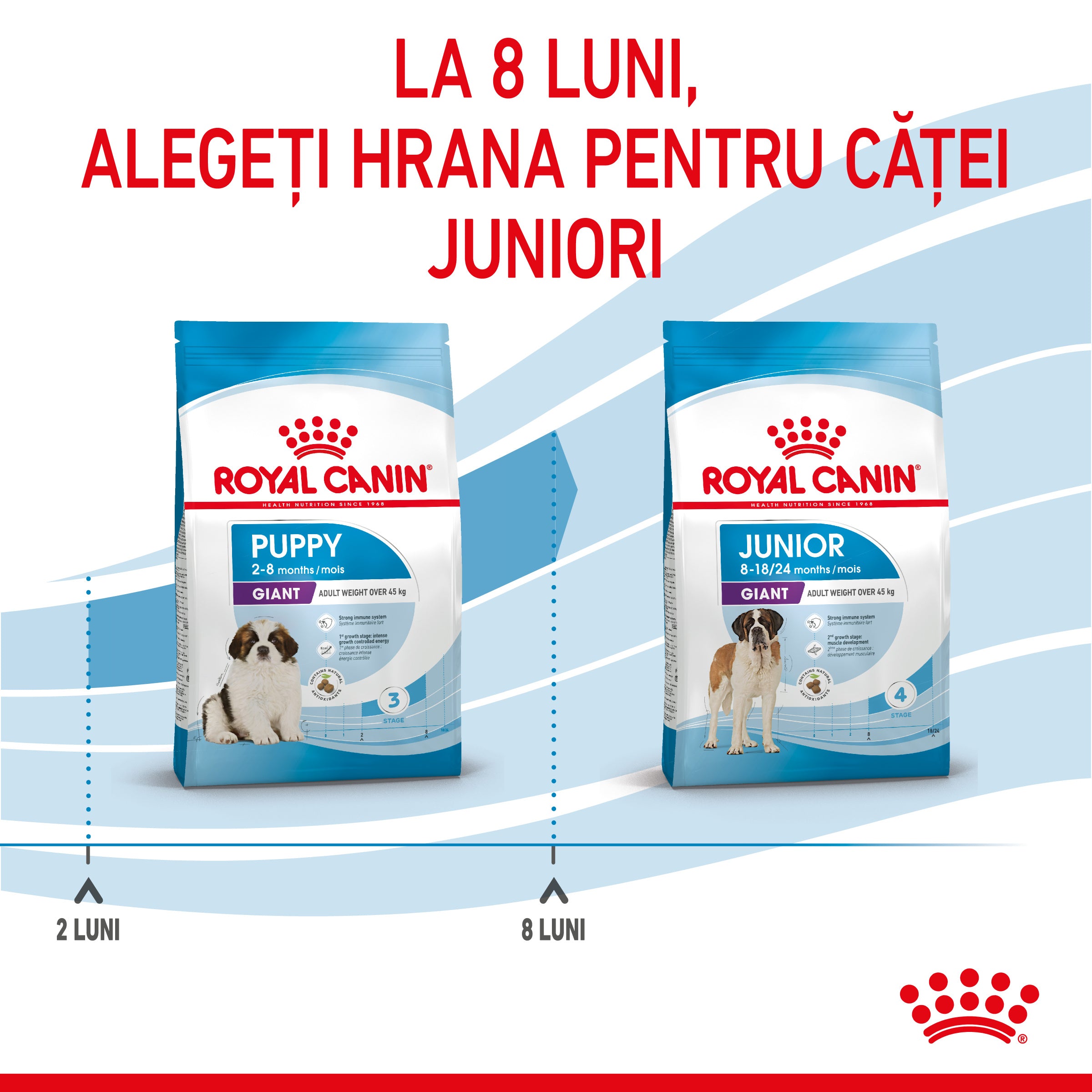 Royal Canin Giant Puppy hrana uscata caine junior etapa 1 de crestere 15kg