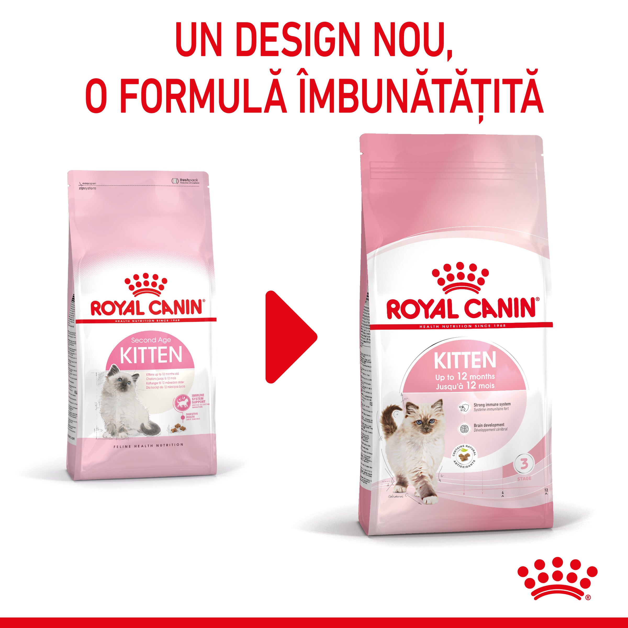 Royal Canin Kitten hrana uscata pisica junior