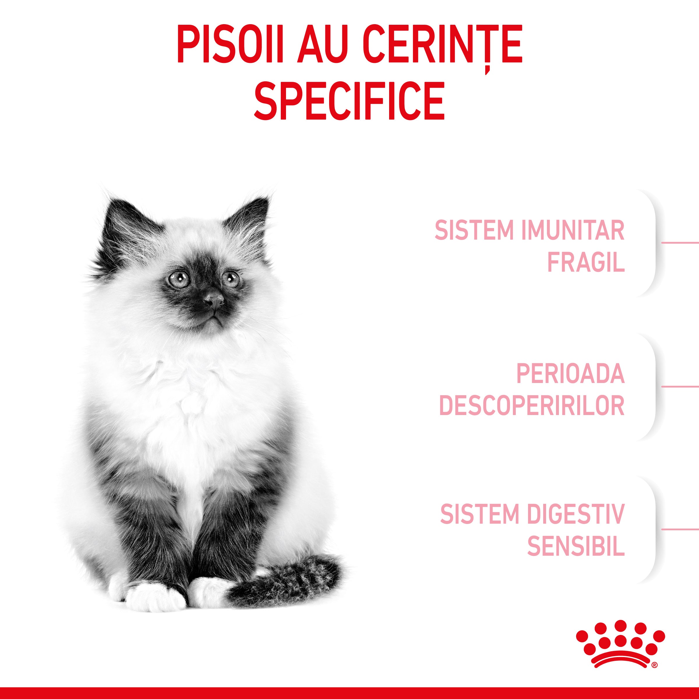 Royal Canin Kitten hrana uscata pisica junior