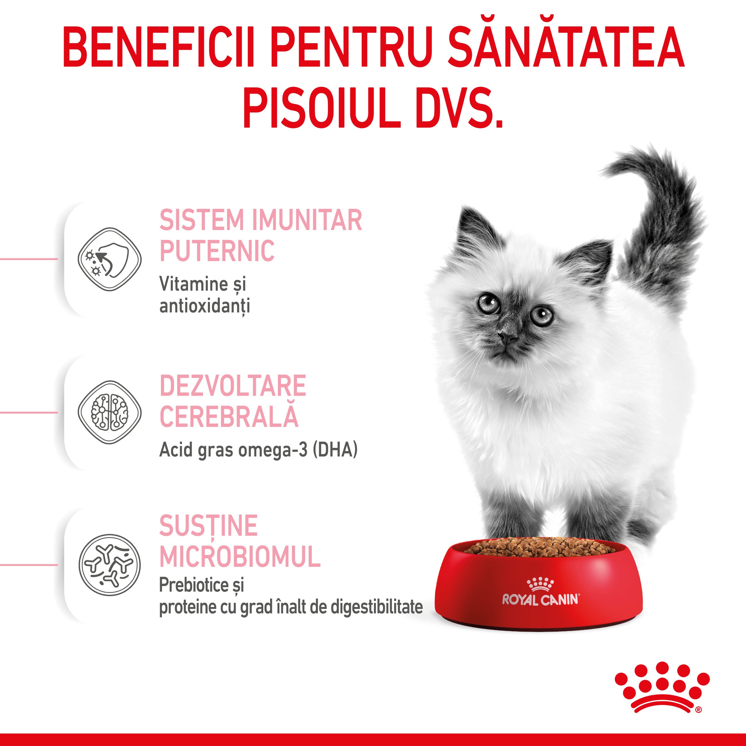 Royal Canin Kitten hrana uscata pisica junior