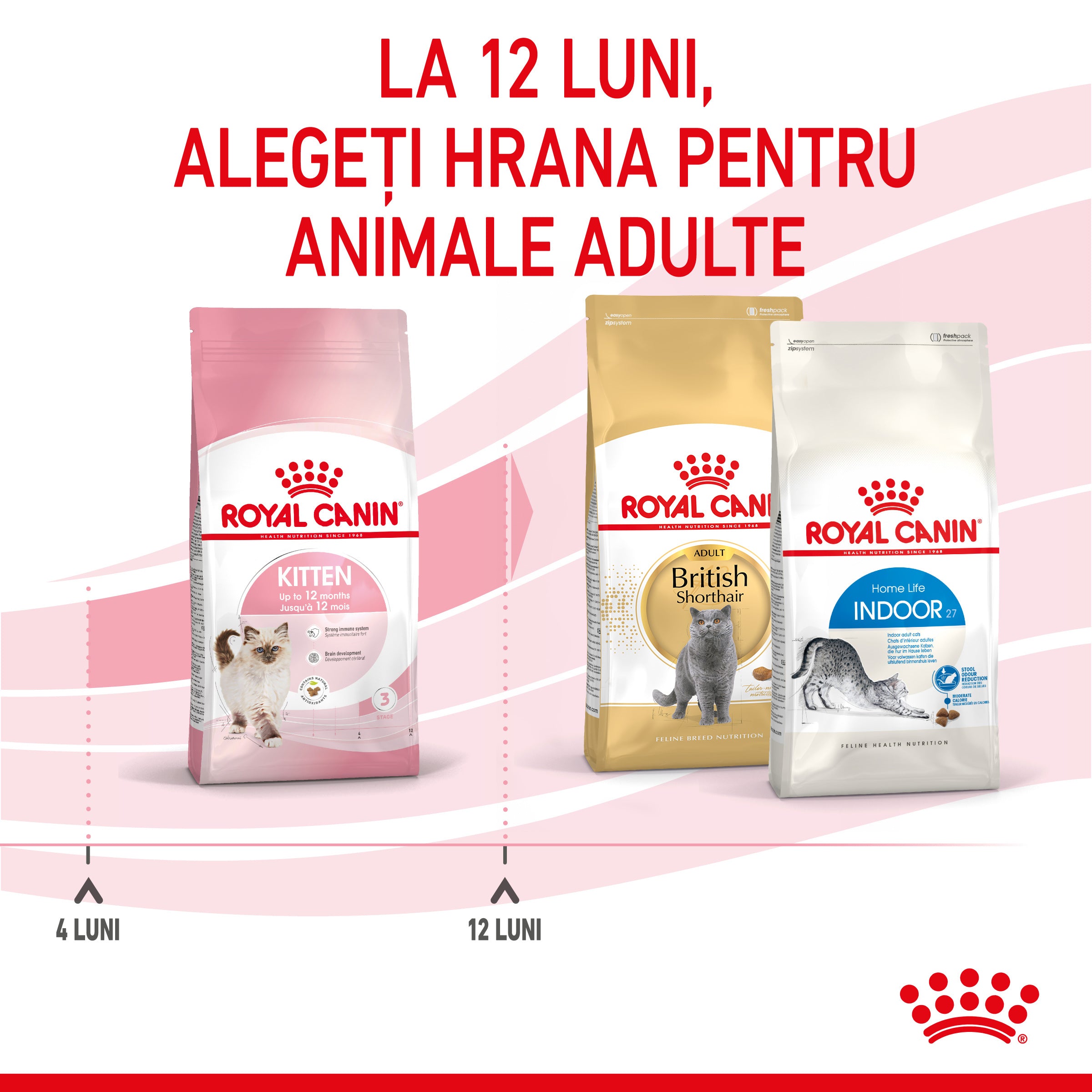 Royal Canin Kitten hrana uscata pisica junior