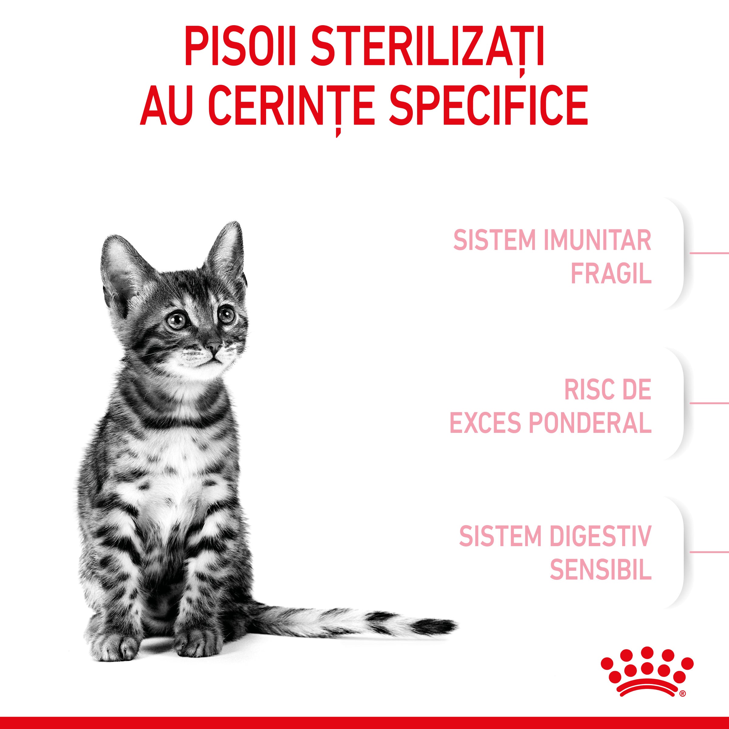 Royal Canin Kitten Sterilised hrana uscata pisica sterilizata junior