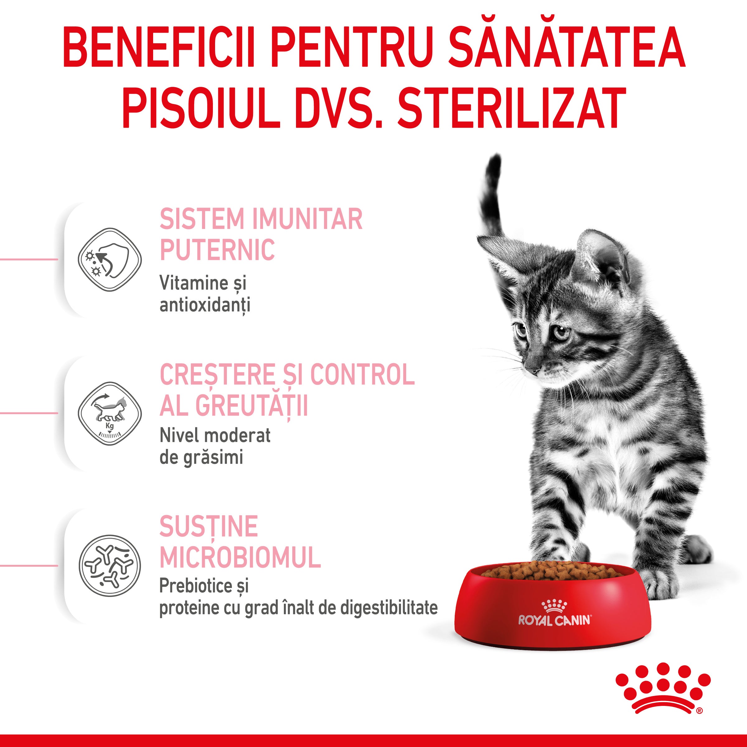 Royal Canin Kitten Sterilised hrana uscata pisica sterilizata junior