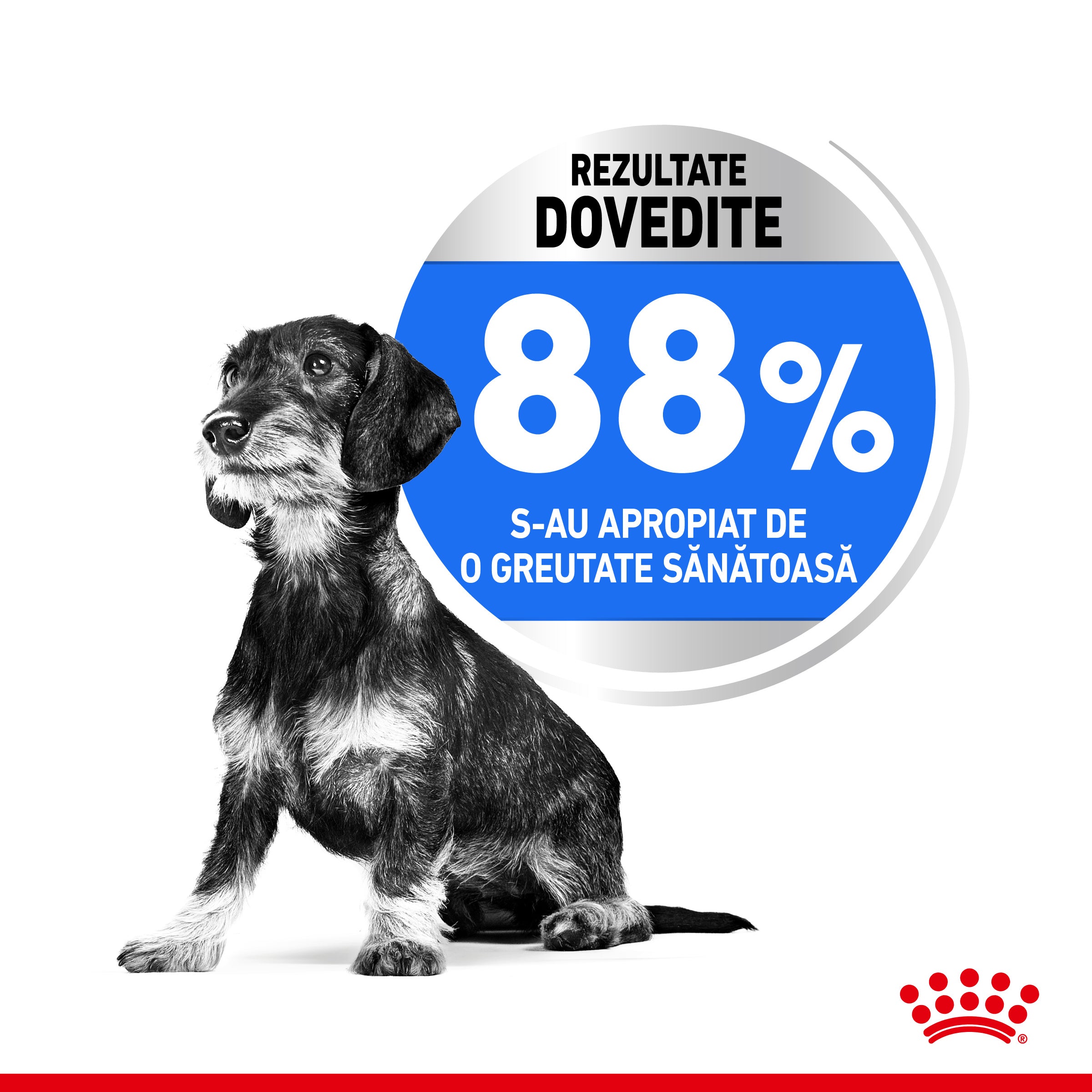 Royal Canin Mini Light Weight Care Adult hrana uscata caine, limitarea cresterii in greutate