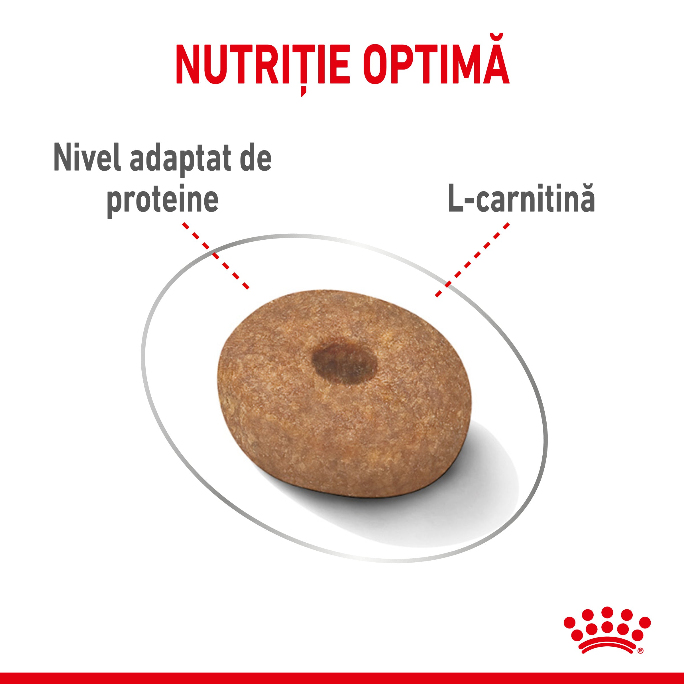 Royal Canin Mini Light Weight Care Adult hrana uscata caine, limitarea cresterii in greutate