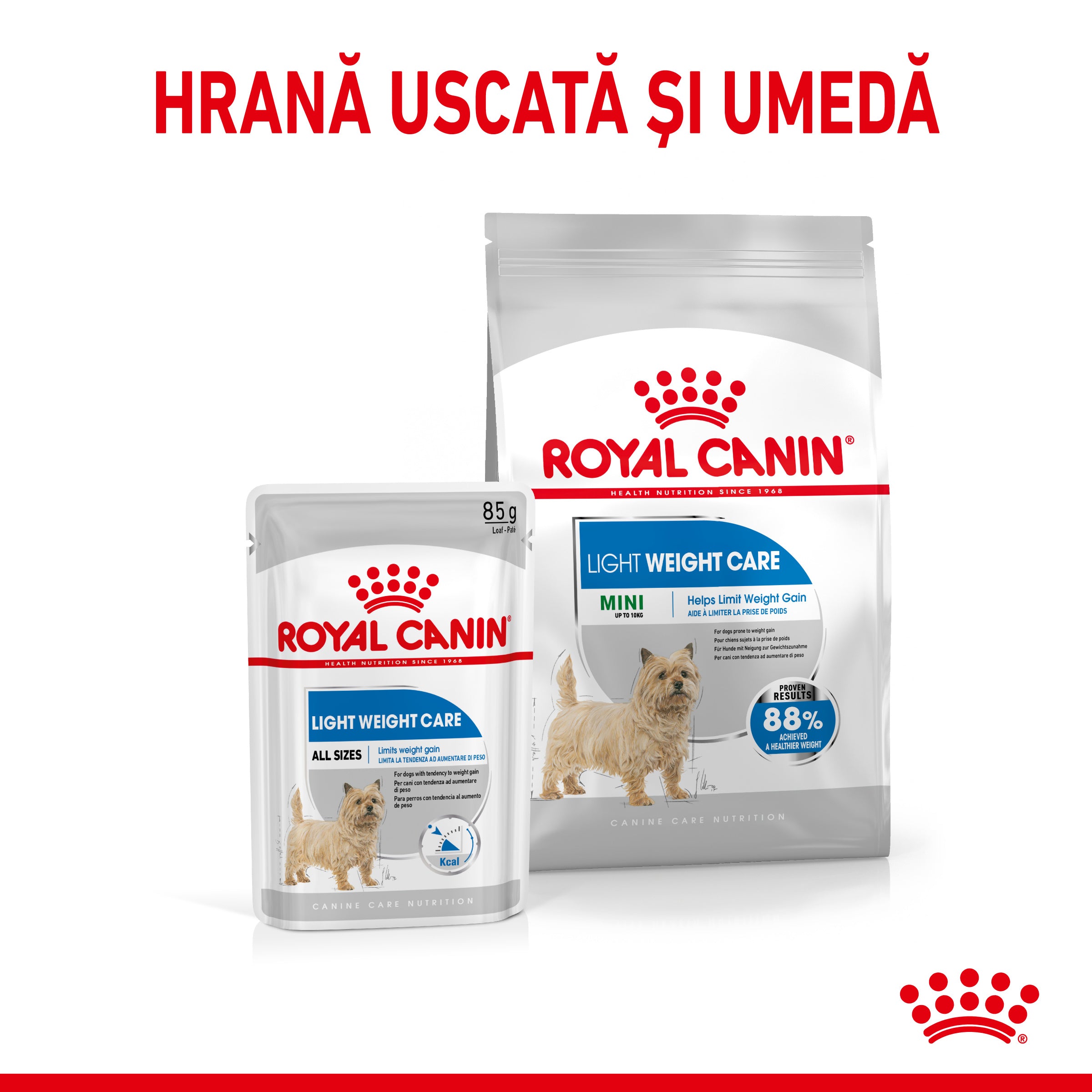 Royal Canin Mini Light Weight Care Adult hrana uscata caine, limitarea cresterii in greutate