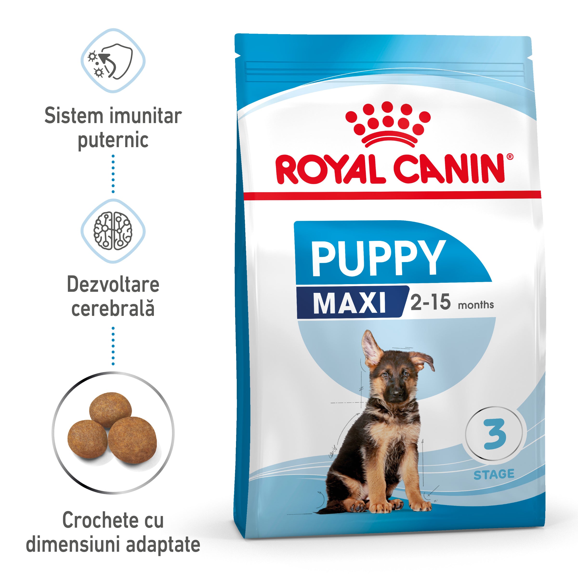 Royal Canin Maxi Puppy hrana uscata caine junior